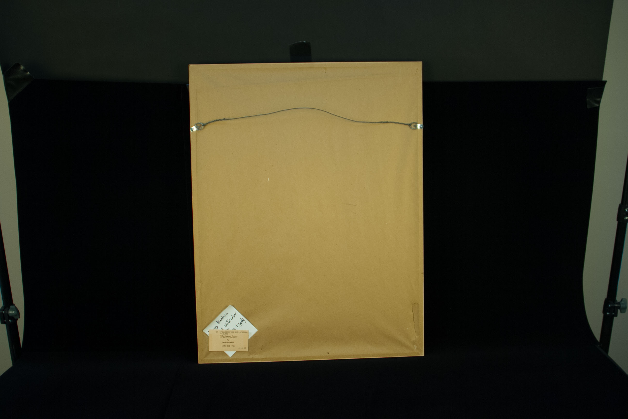 Maddern "Phalaenopsis: African Violet" Watercolor