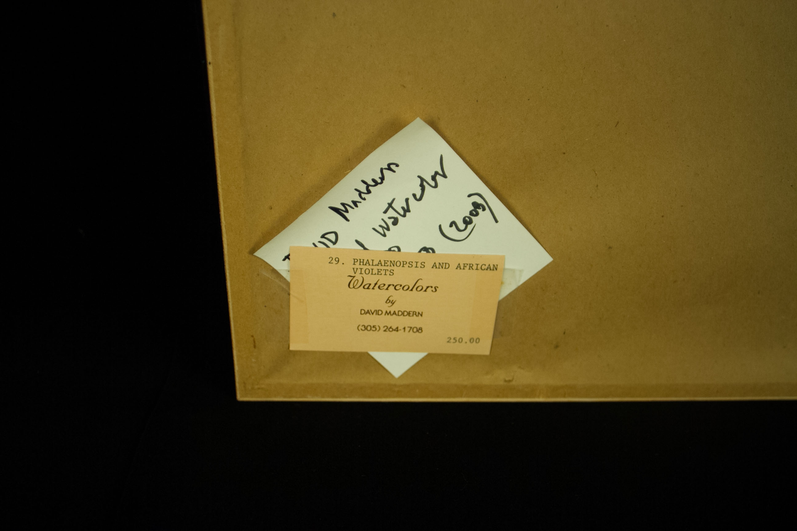 Maddern "Phalaenopsis: African Violet" Watercolor