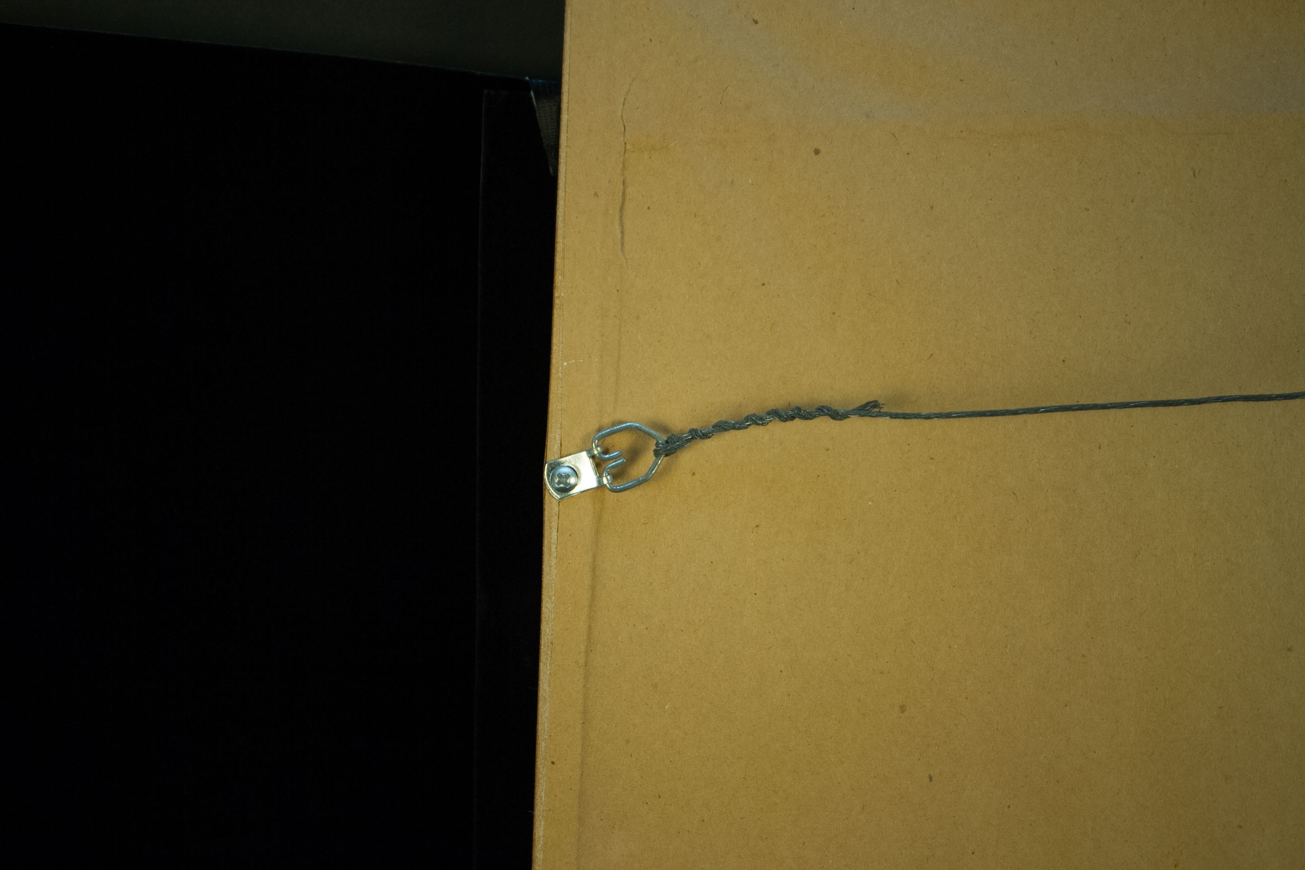 Maddern "Phalaenopsis: African Violet" Watercolor