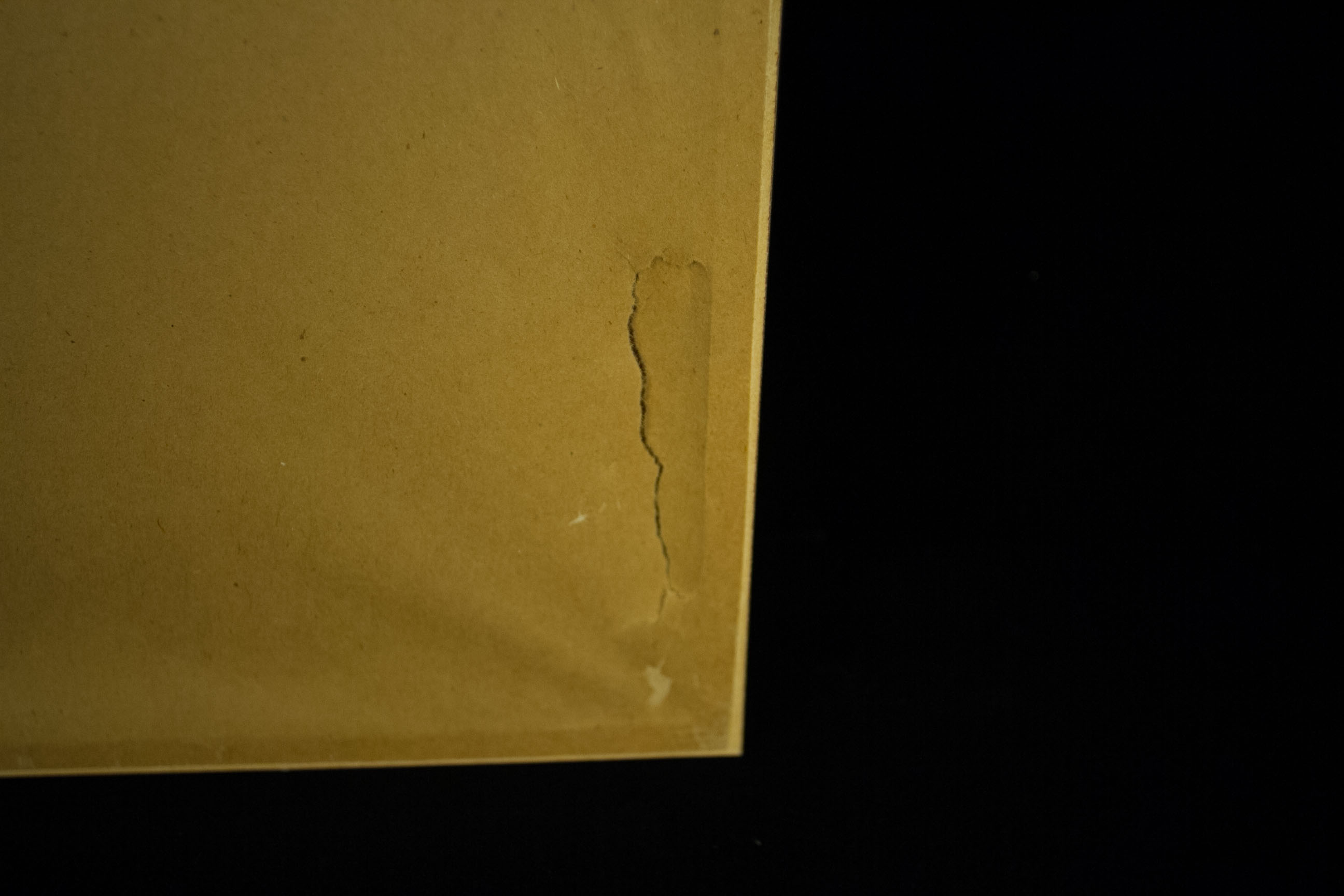 Maddern "Phalaenopsis: African Violet" Watercolor