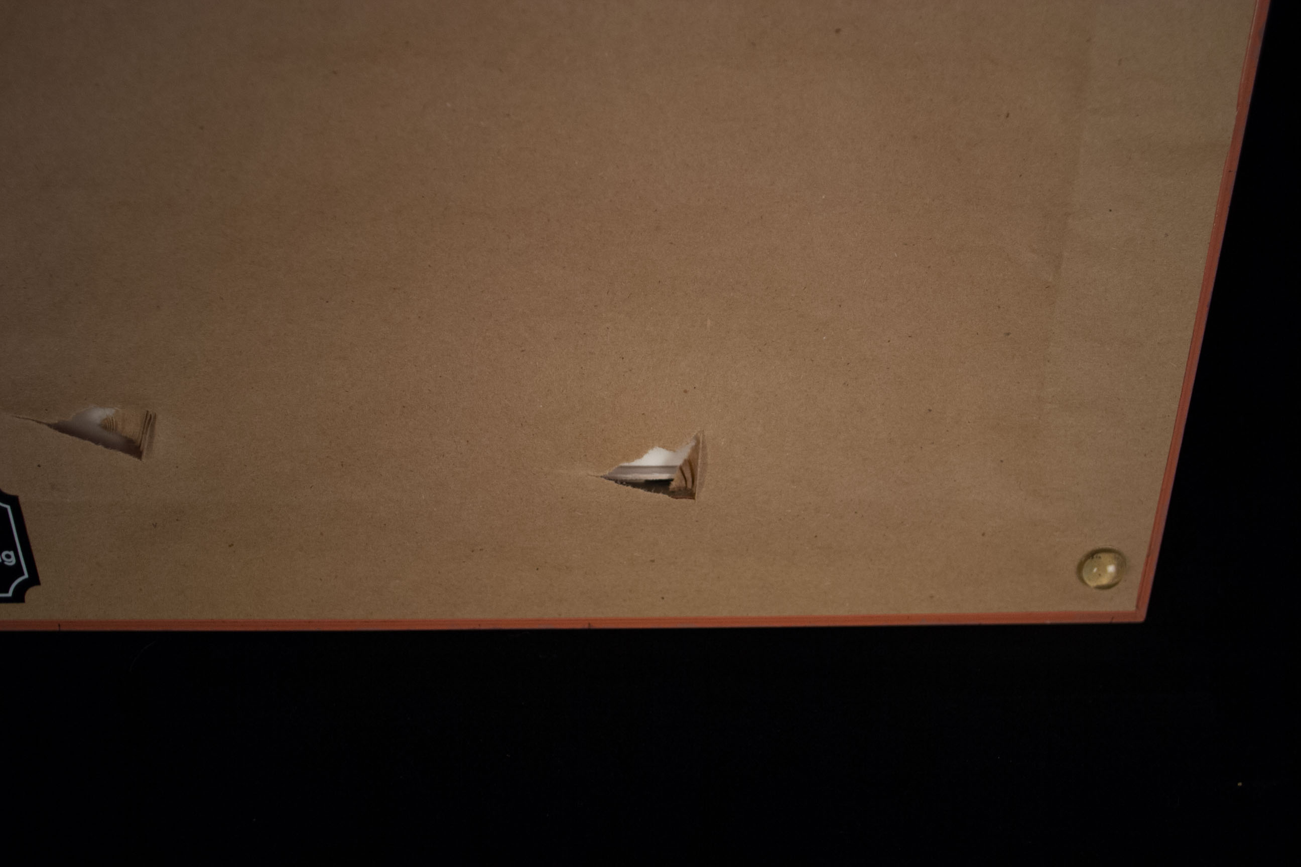 Watercolor Still Life Photo Offset Reproduction