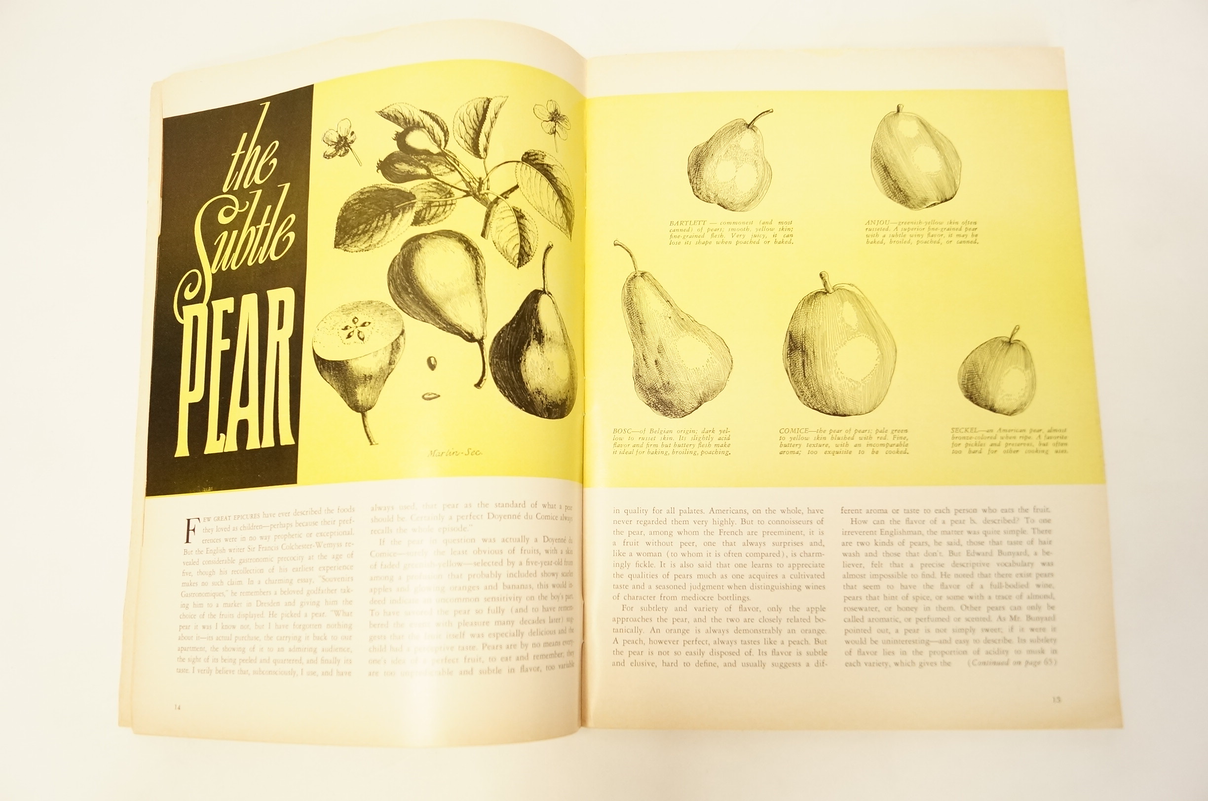 Collection of Vintage Magazines Including Gourmet and Family Circle