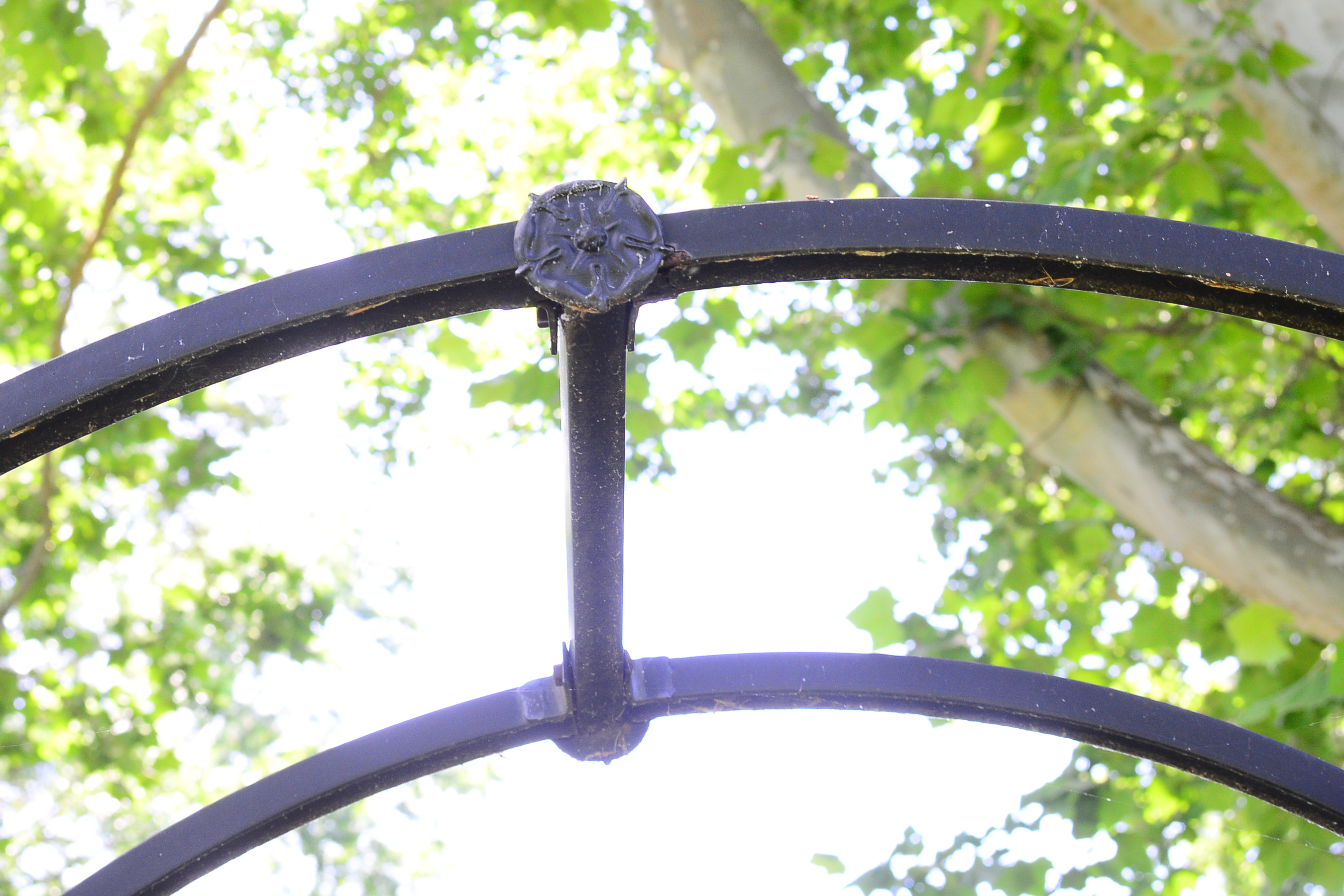 Wrought Iron Gate