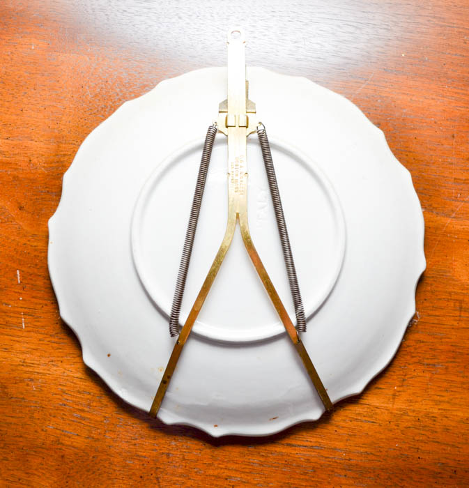 Decorative Fruit Plates