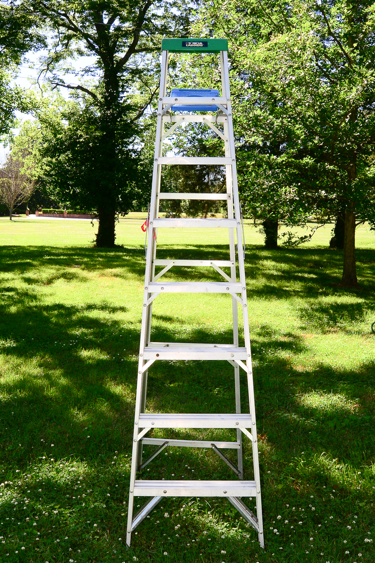 Three Ladders