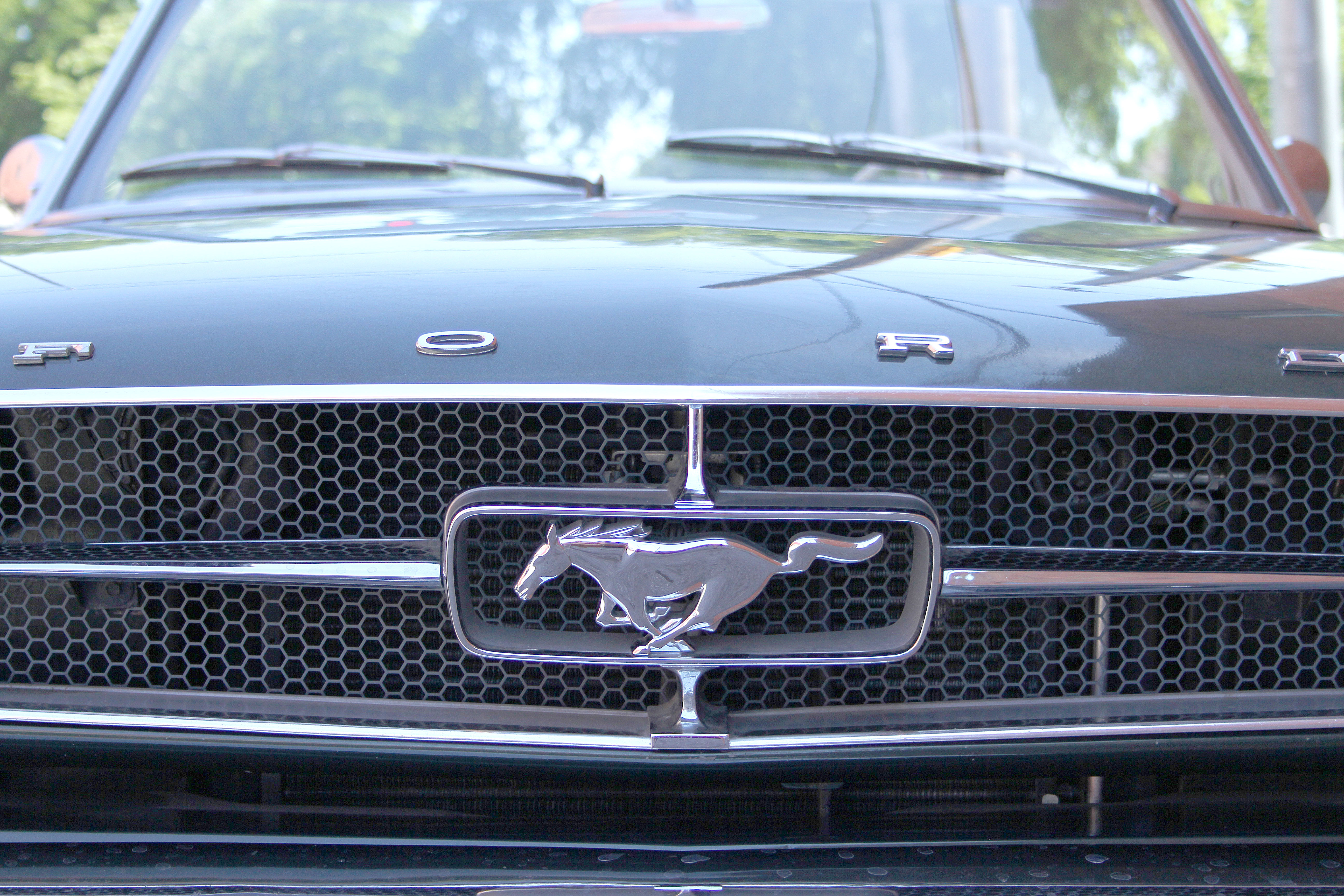 1965 Ford Mustang Ivy Green Convertible with Low Mileage