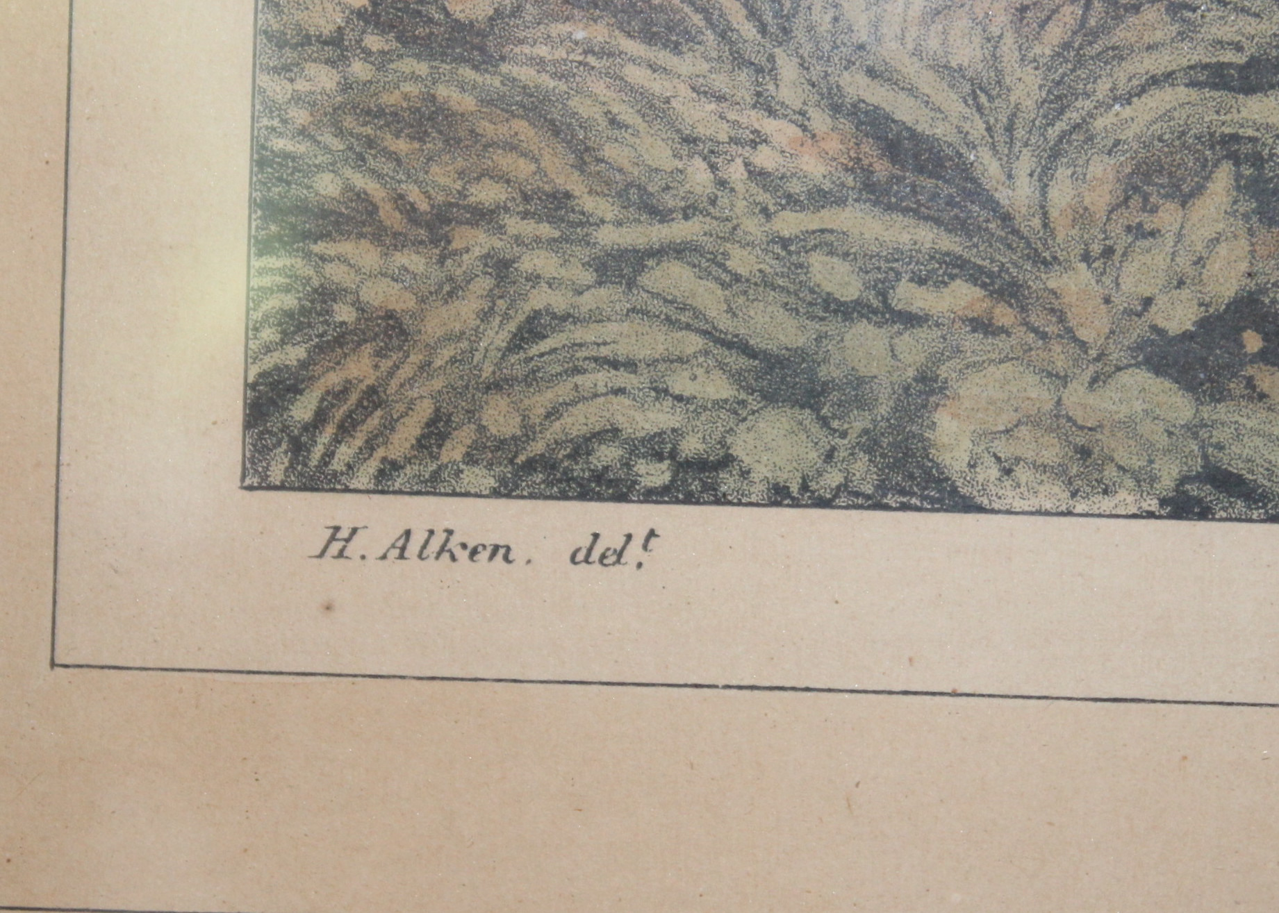 Equestrian  Fox Hunting Prints