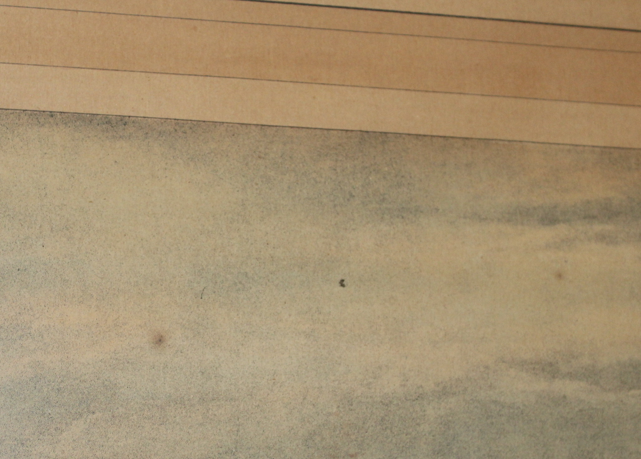 Equestrian  Fox Hunting Prints