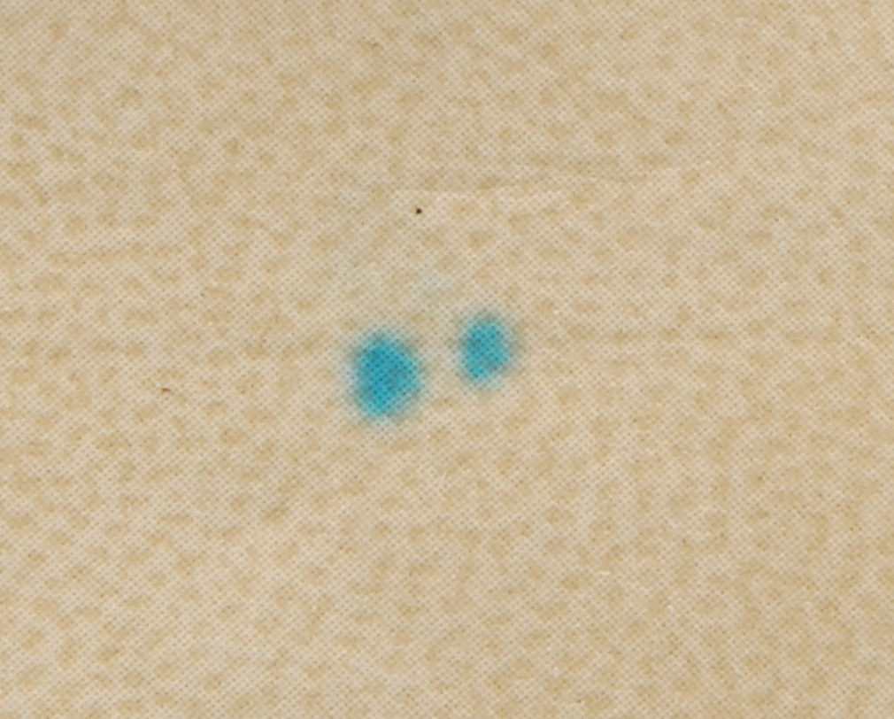 Women's Watch from Hermes