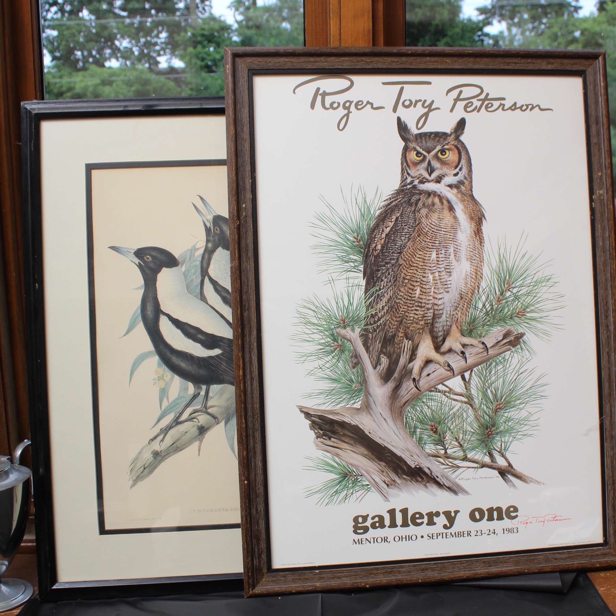 Bird Prints Featuring Roger Tory Peterson