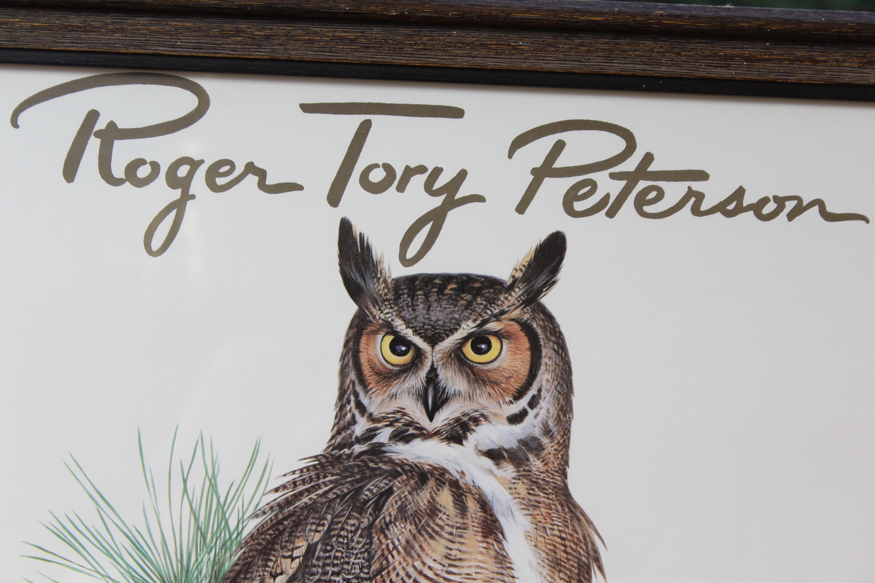 Bird Prints Featuring Roger Tory Peterson