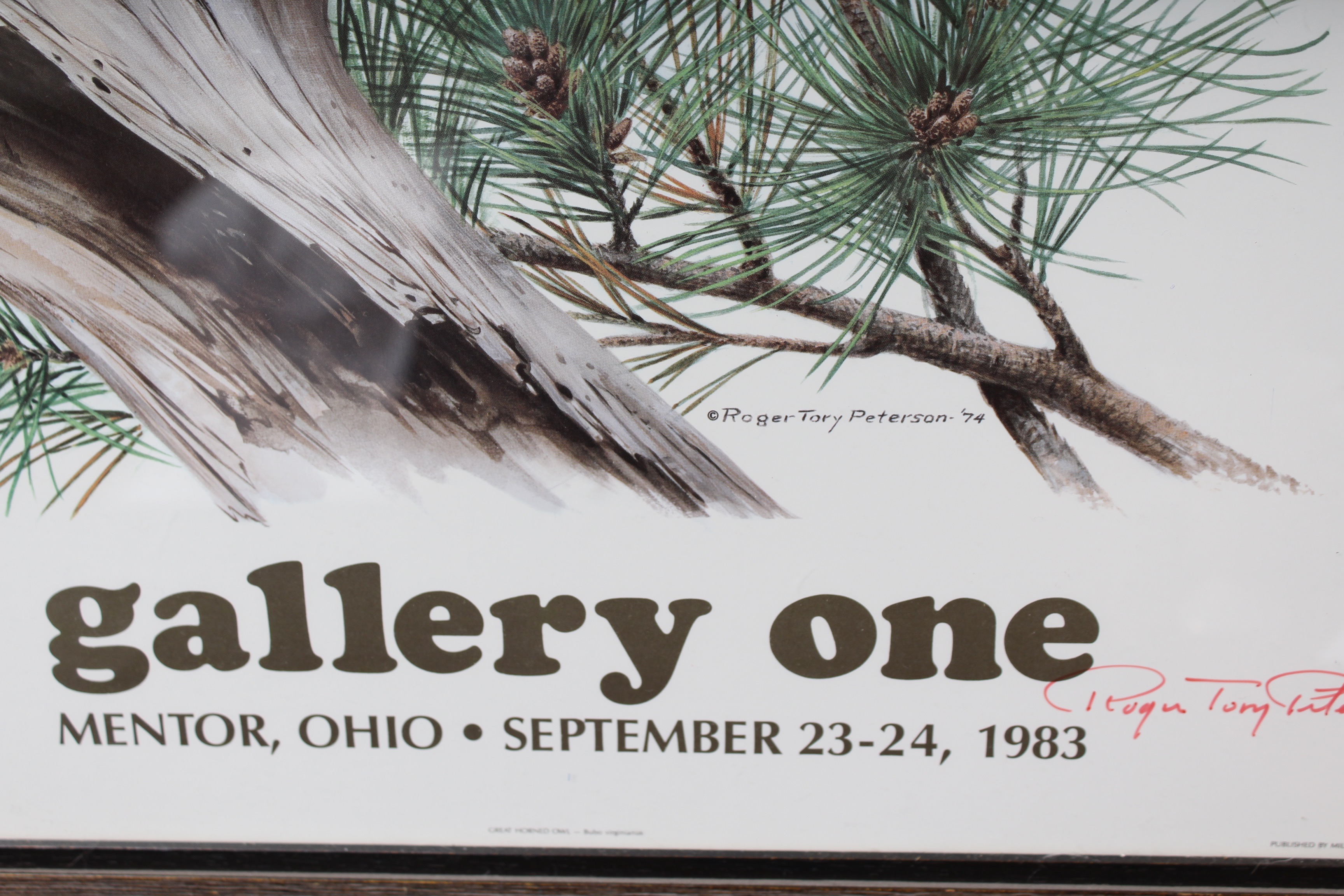 Bird Prints Featuring Roger Tory Peterson