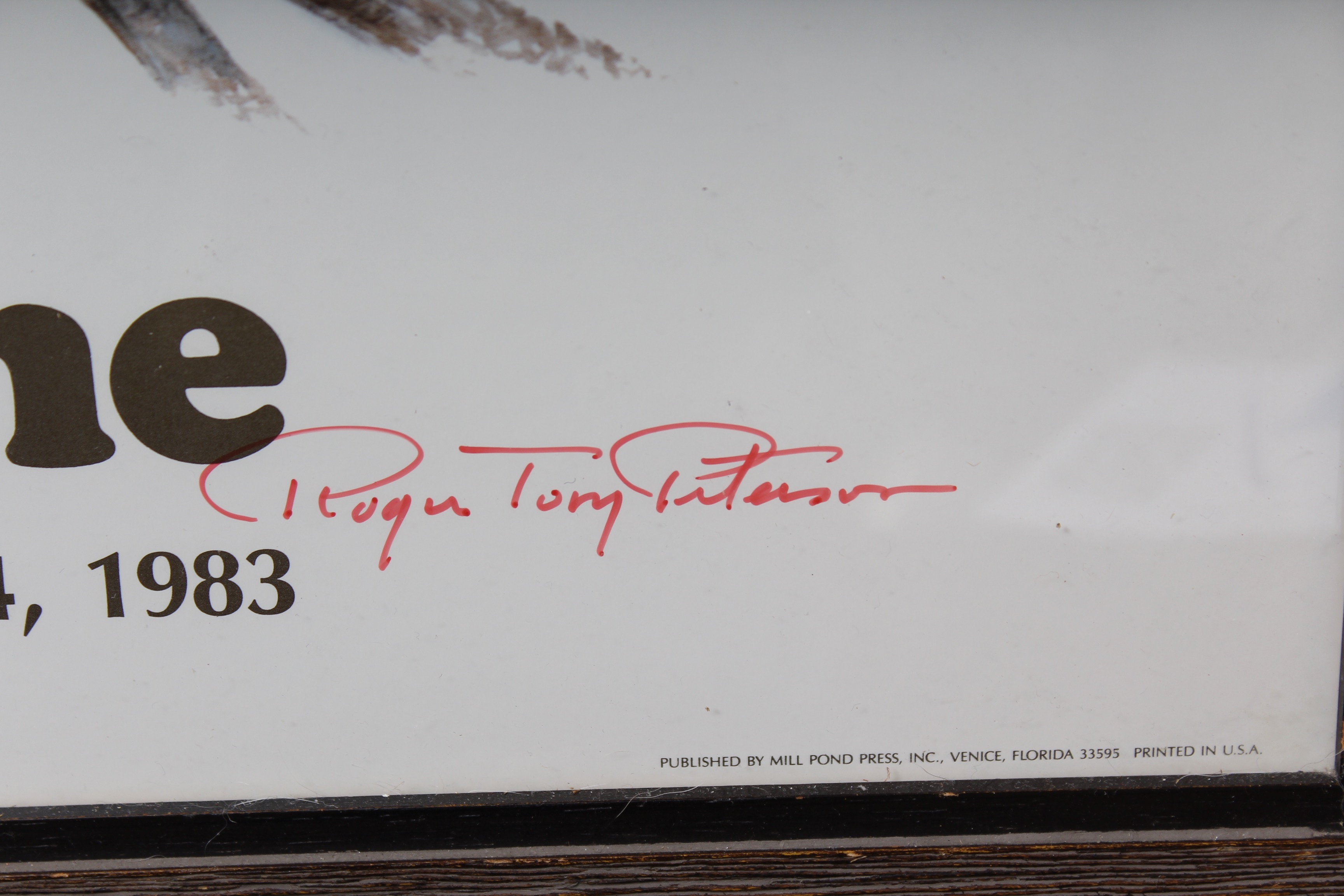 Bird Prints Featuring Roger Tory Peterson