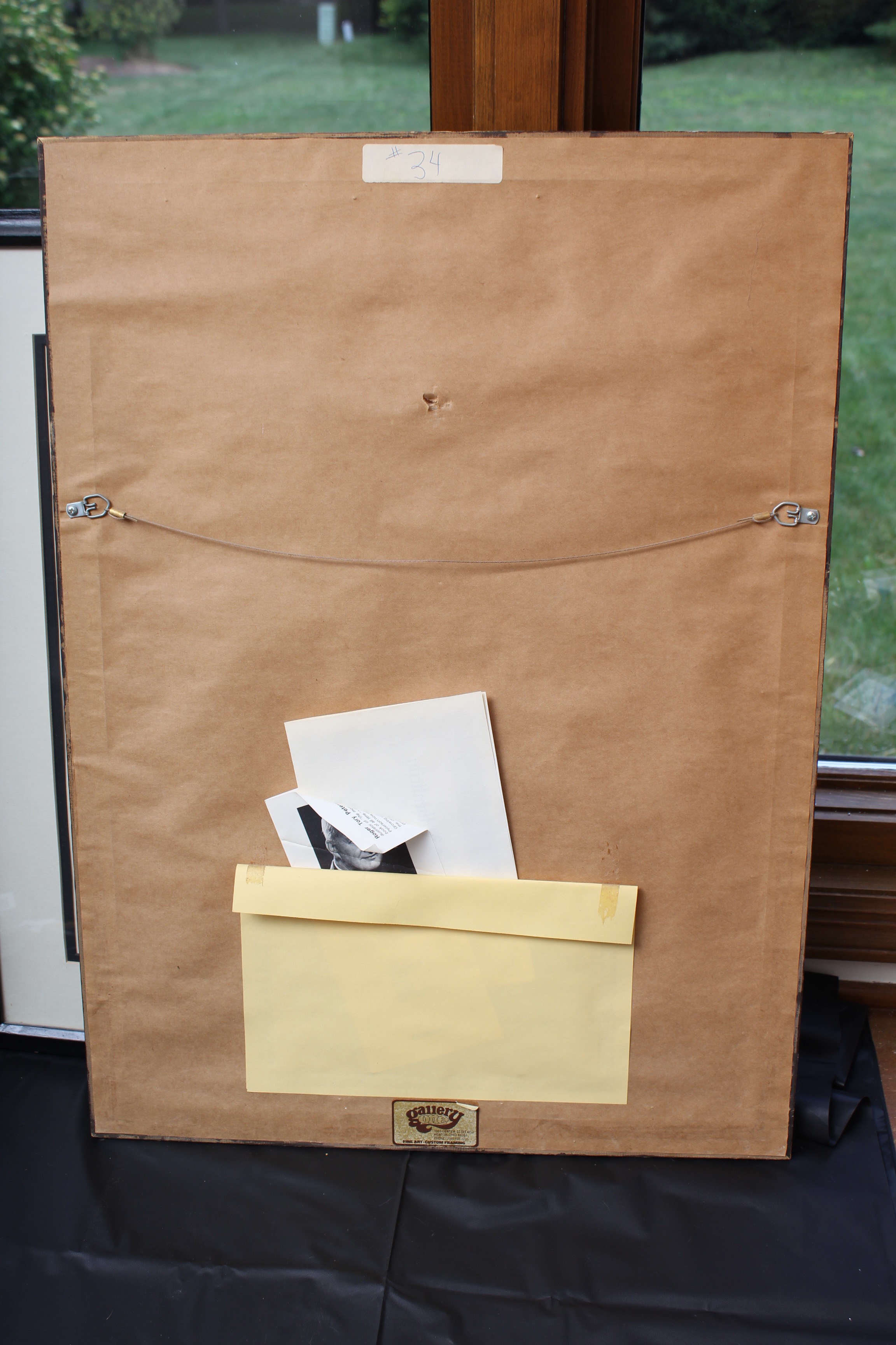 Bird Prints Featuring Roger Tory Peterson