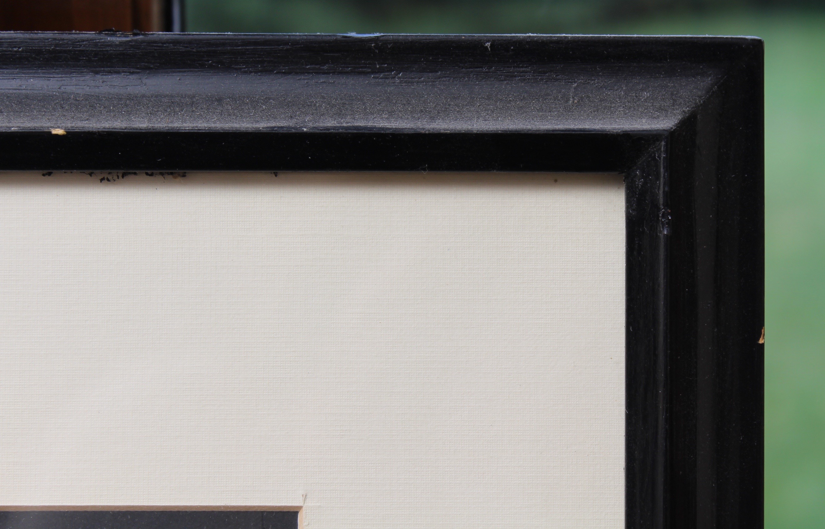 Bird Prints Featuring Roger Tory Peterson