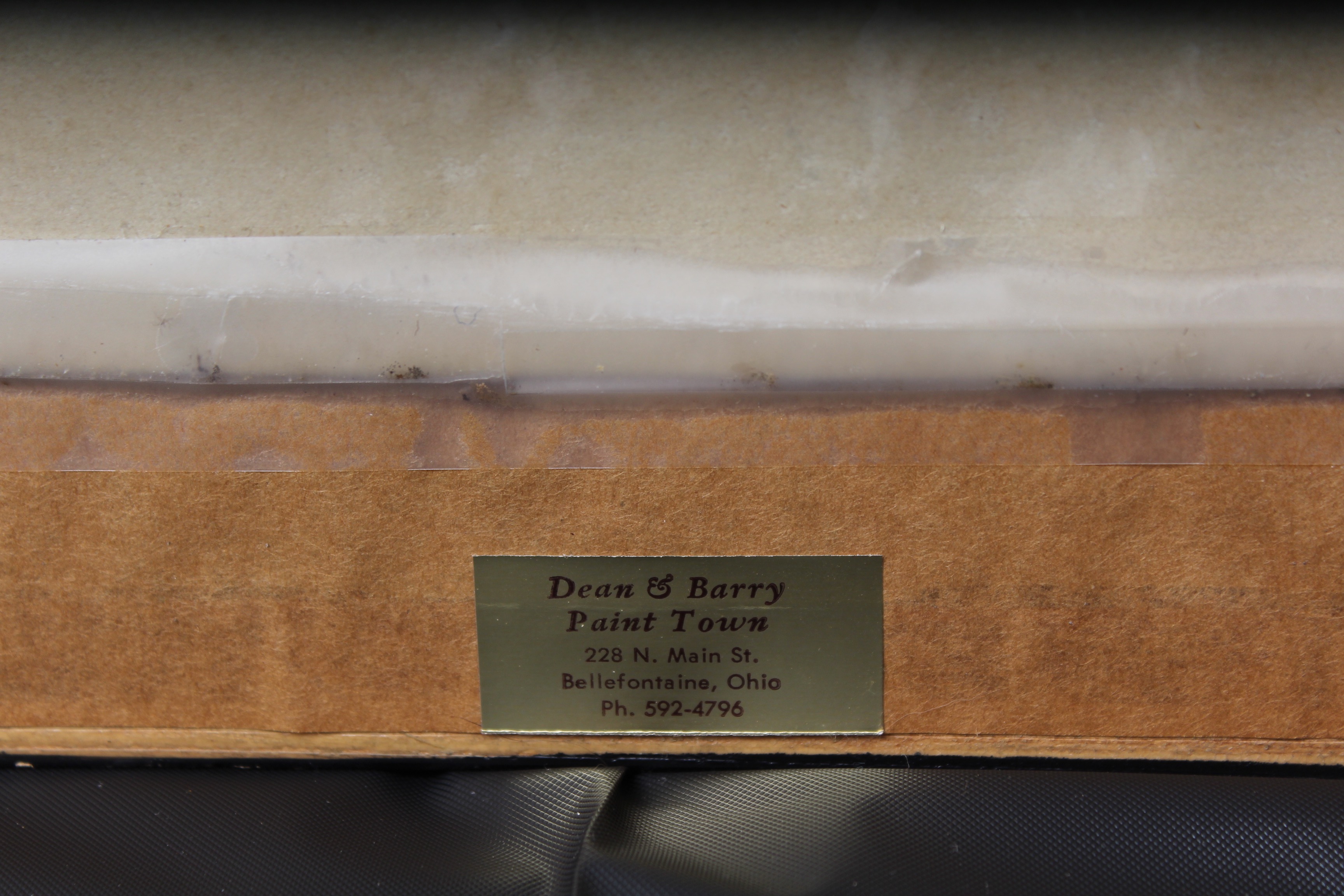 Bird Prints Featuring Roger Tory Peterson