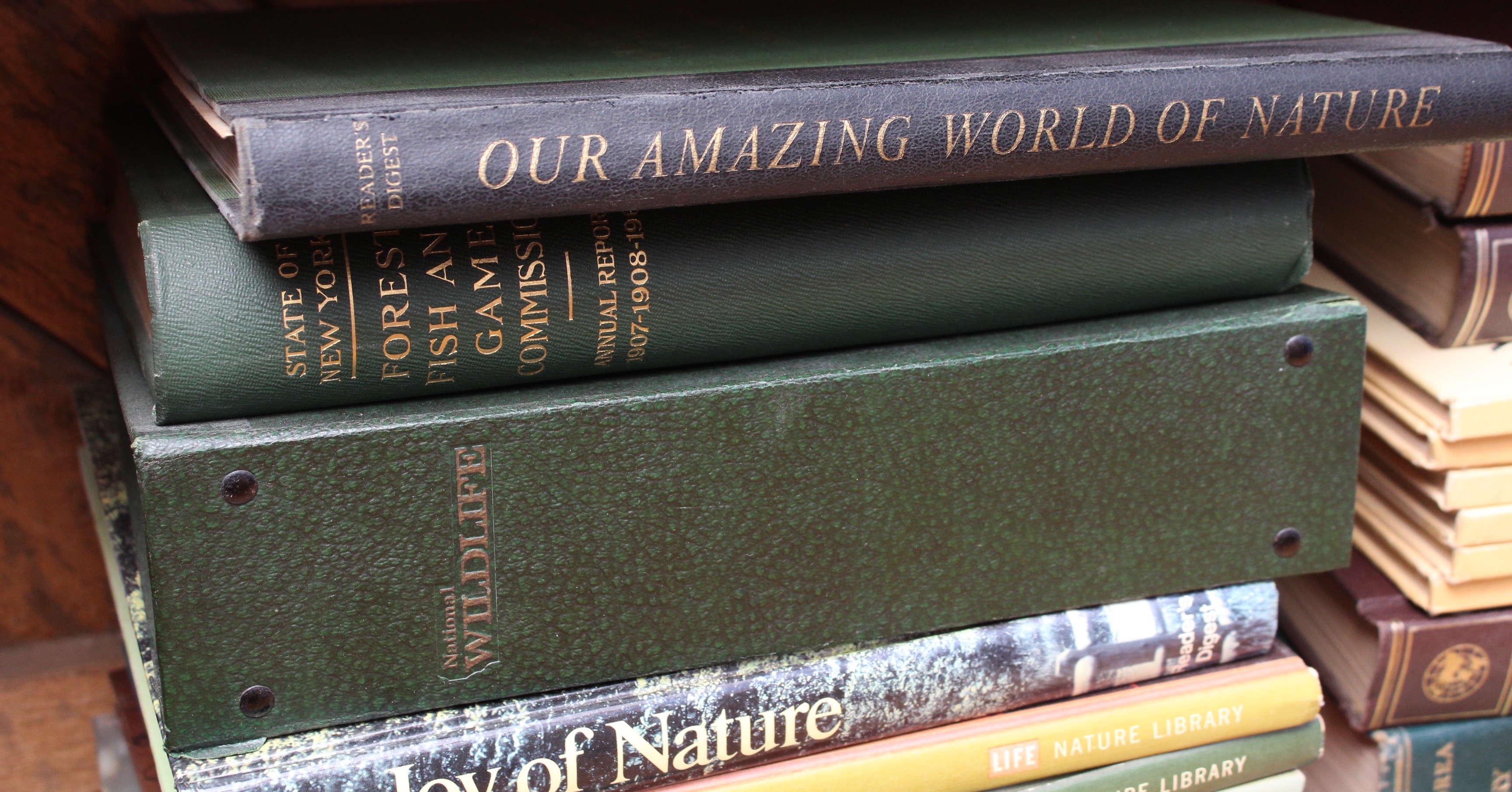 Collection of Vintage Life Nature and History Books