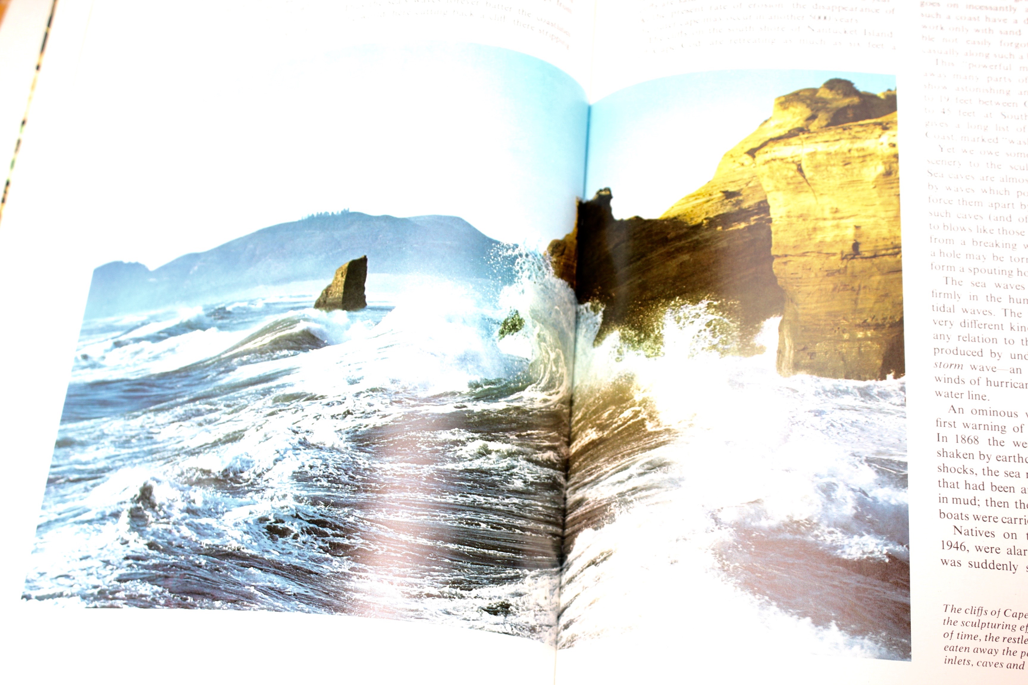 Collection of Vintage Life Nature and History Books