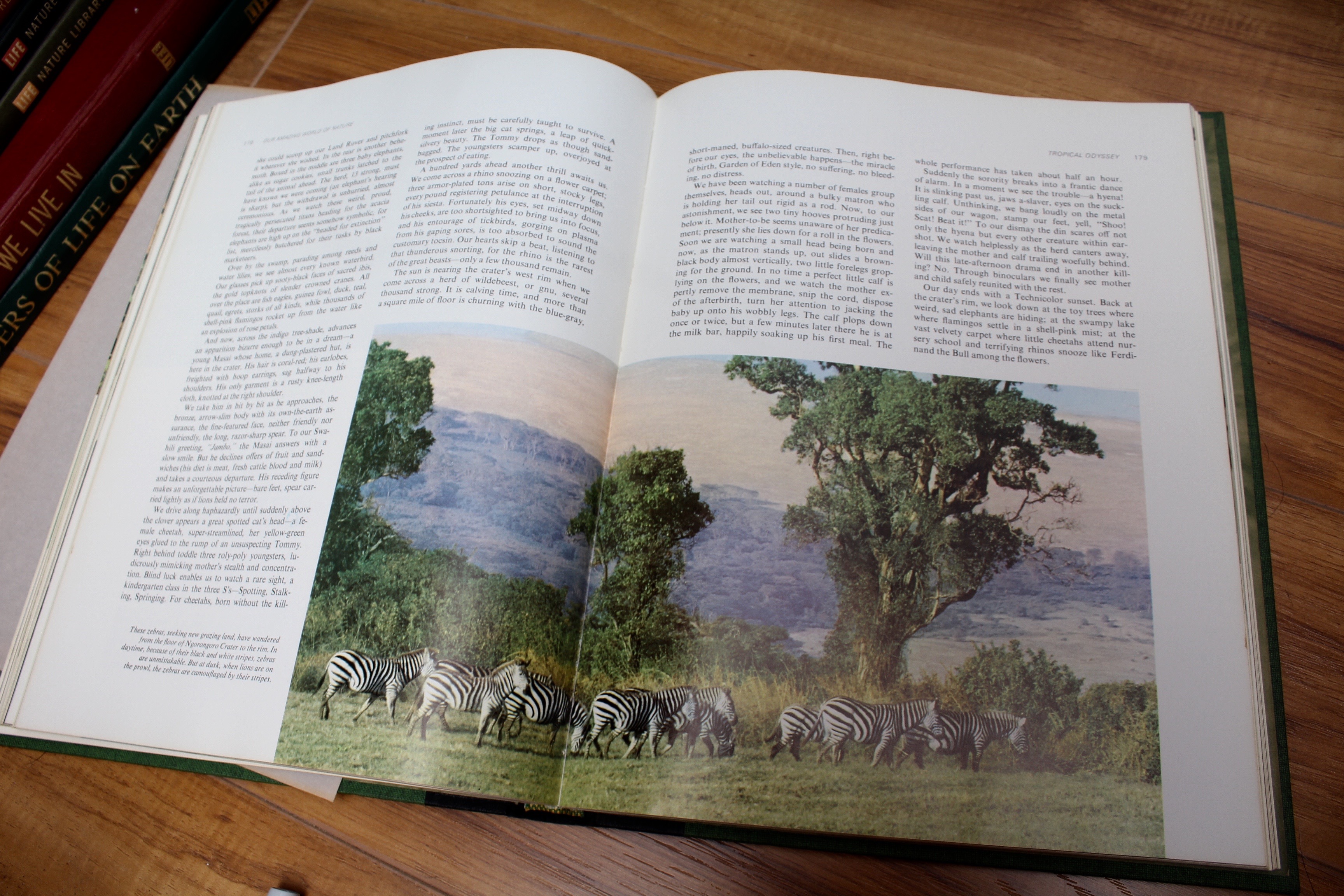 Collection of Vintage Life Nature and History Books