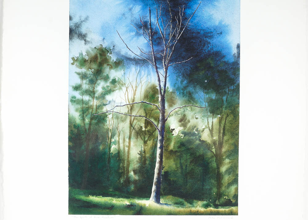 "The Spirit of Bear Meadow" Watercolor on Handmade Paper by Mike McFarland