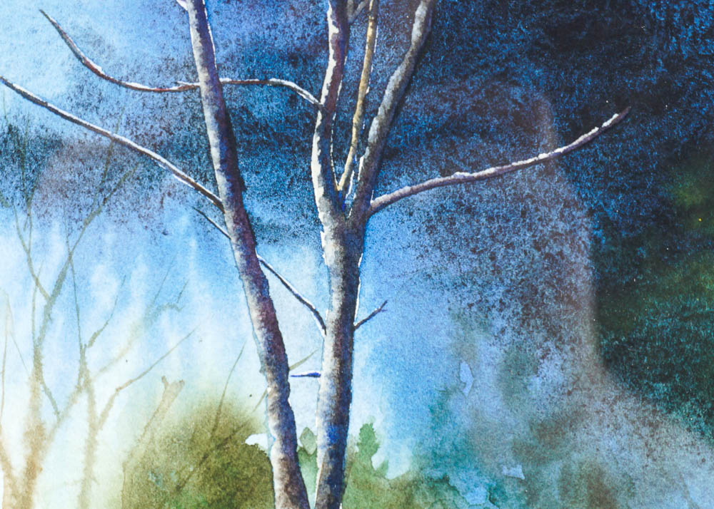 "The Spirit of Bear Meadow" Watercolor on Handmade Paper by Mike McFarland