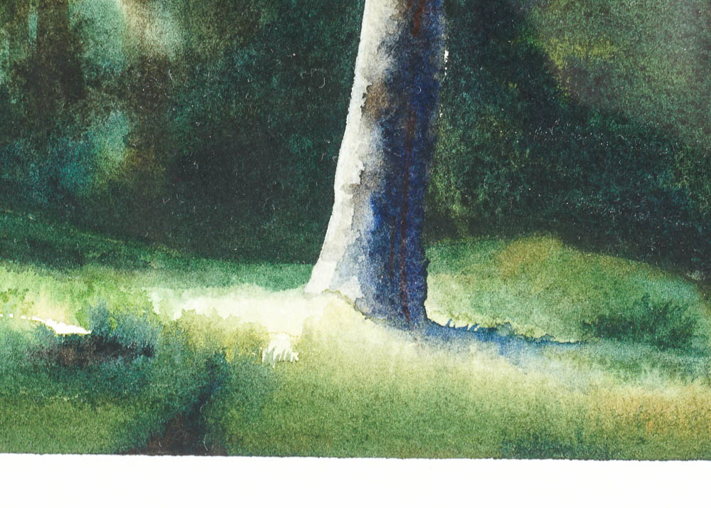 "The Spirit of Bear Meadow" Watercolor on Handmade Paper by Mike McFarland