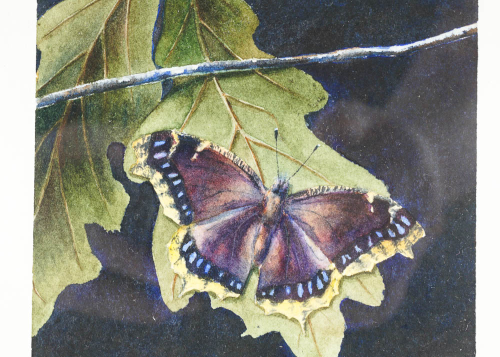 "The Spirit of Bear Meadow" Watercolor on Handmade Paper by Mike McFarland