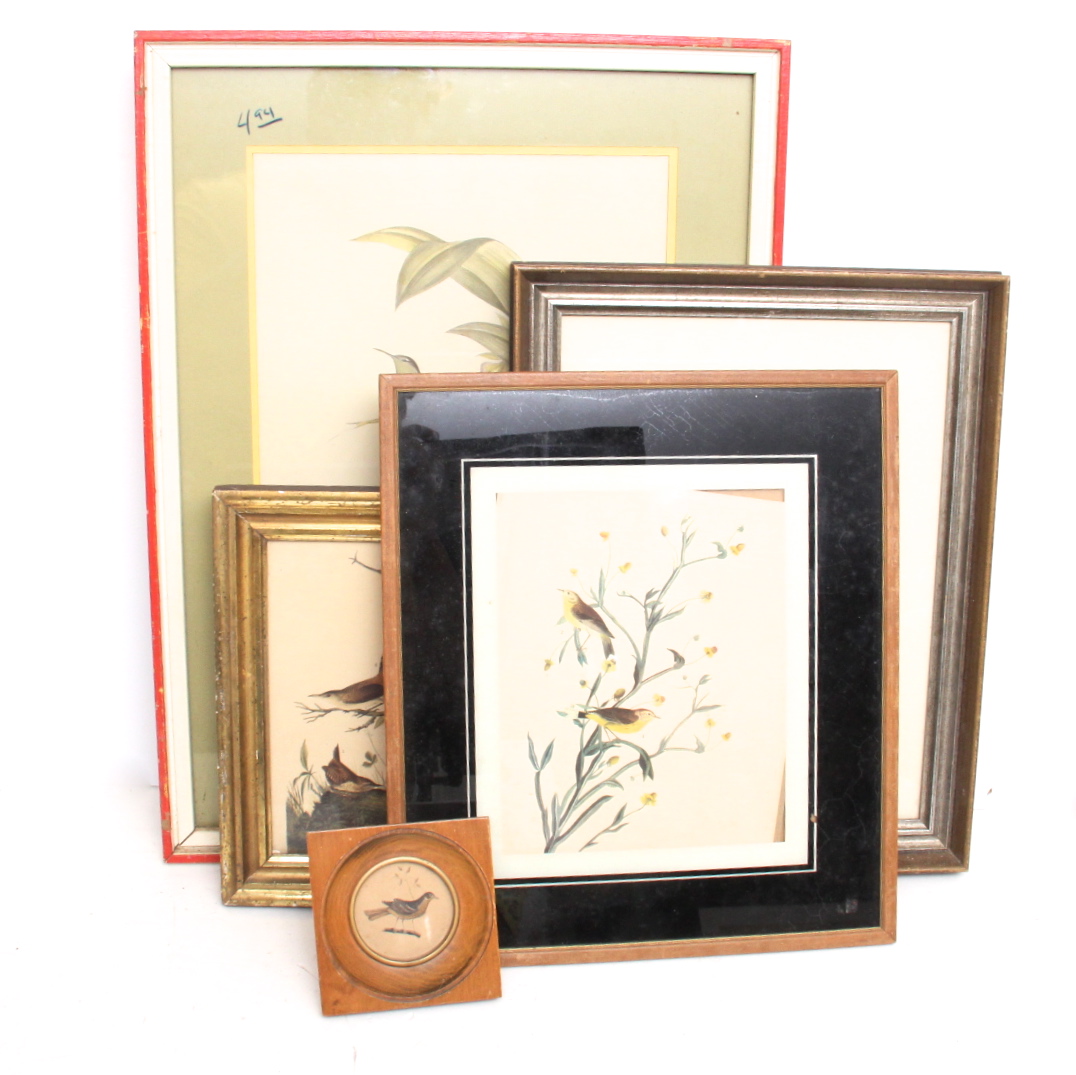 Assortment of Vintage Avian Prints