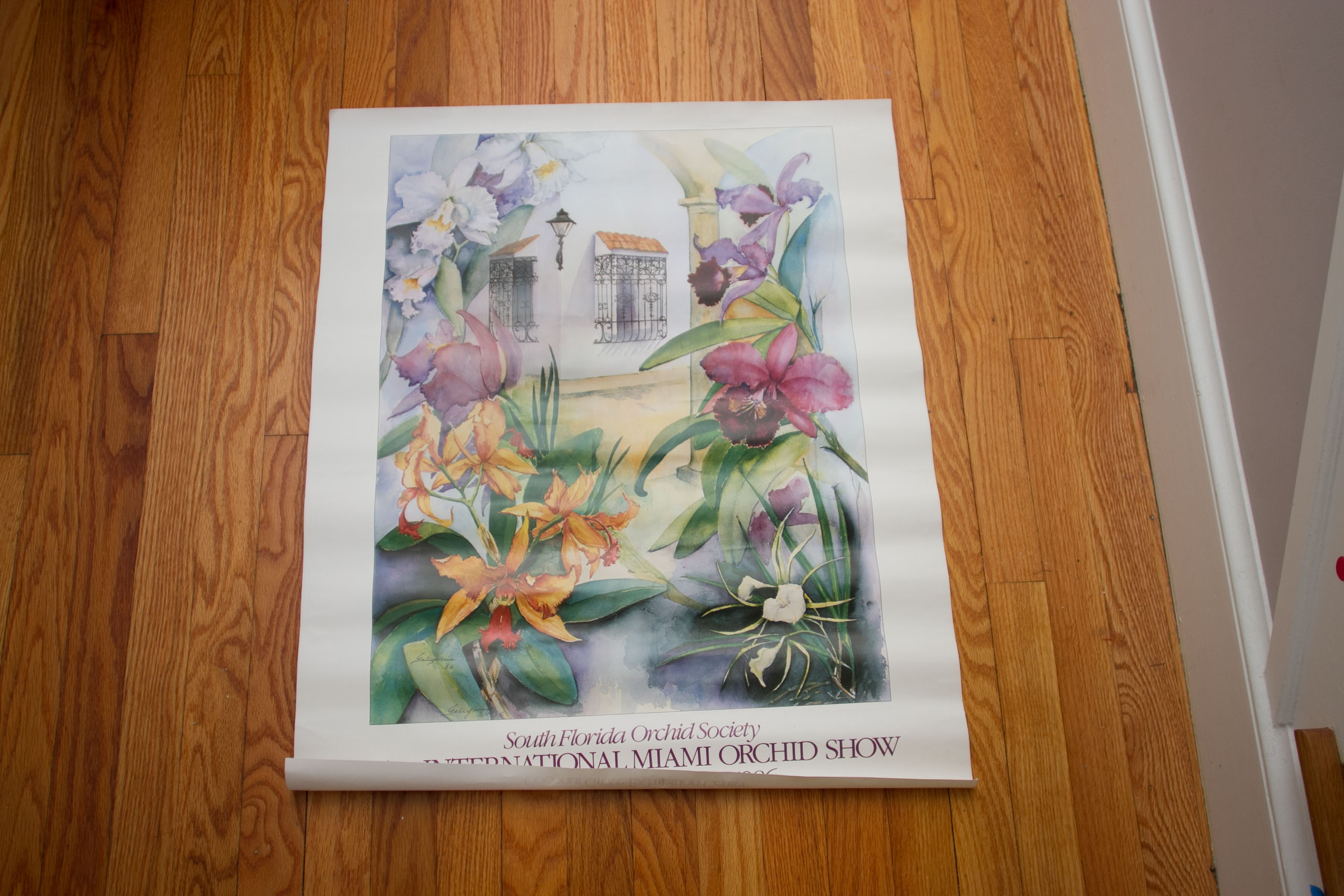 South Florida Orchid Society Poster