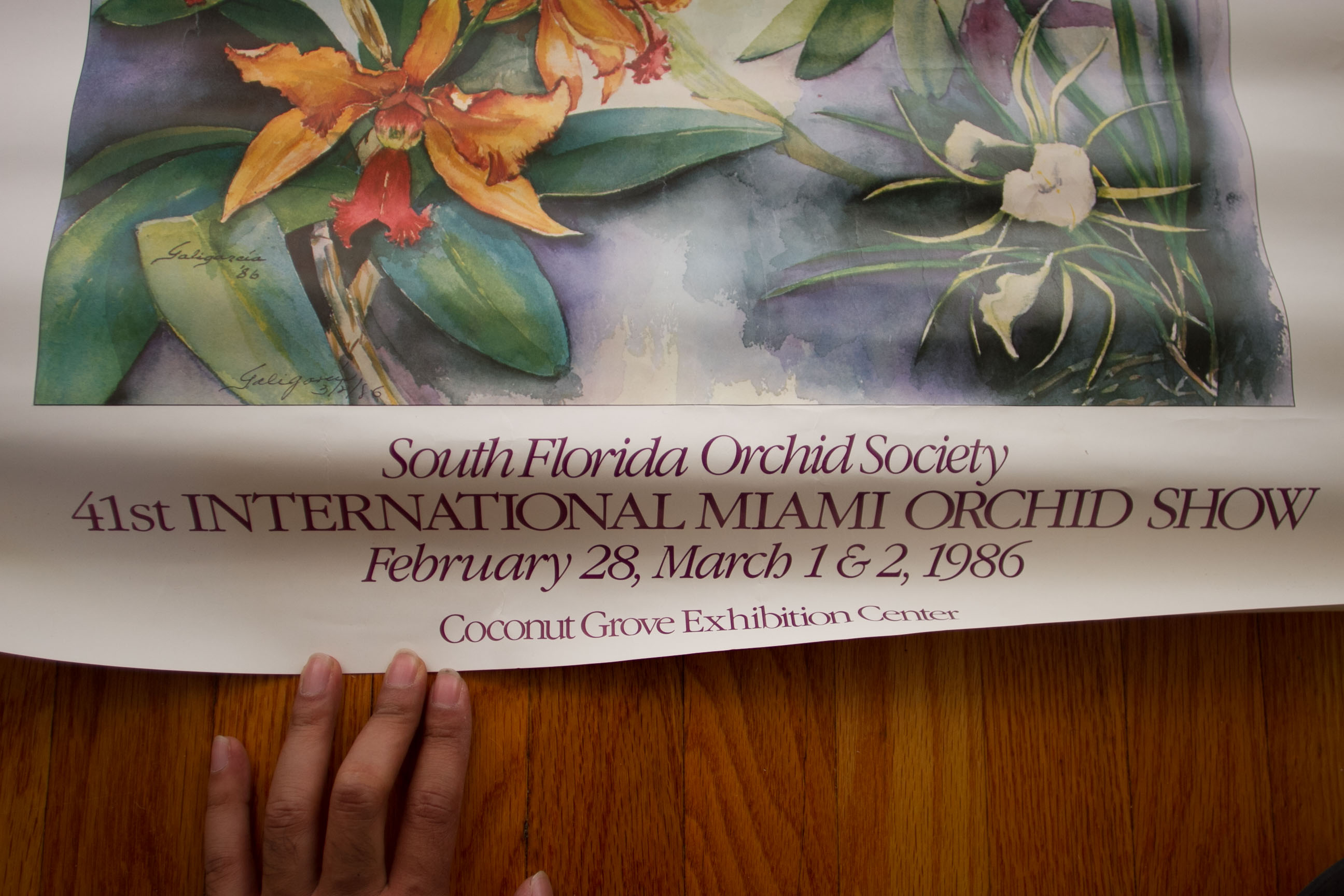 South Florida Orchid Society Poster