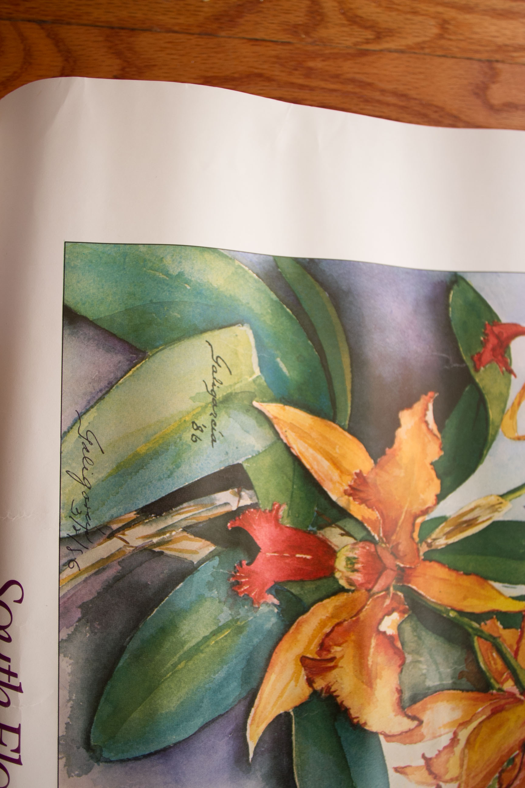 South Florida Orchid Society Poster