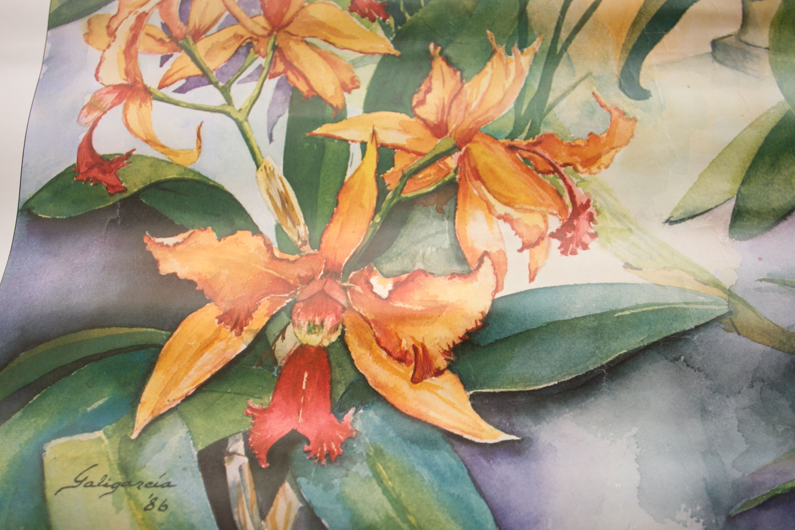 South Florida Orchid Society Poster