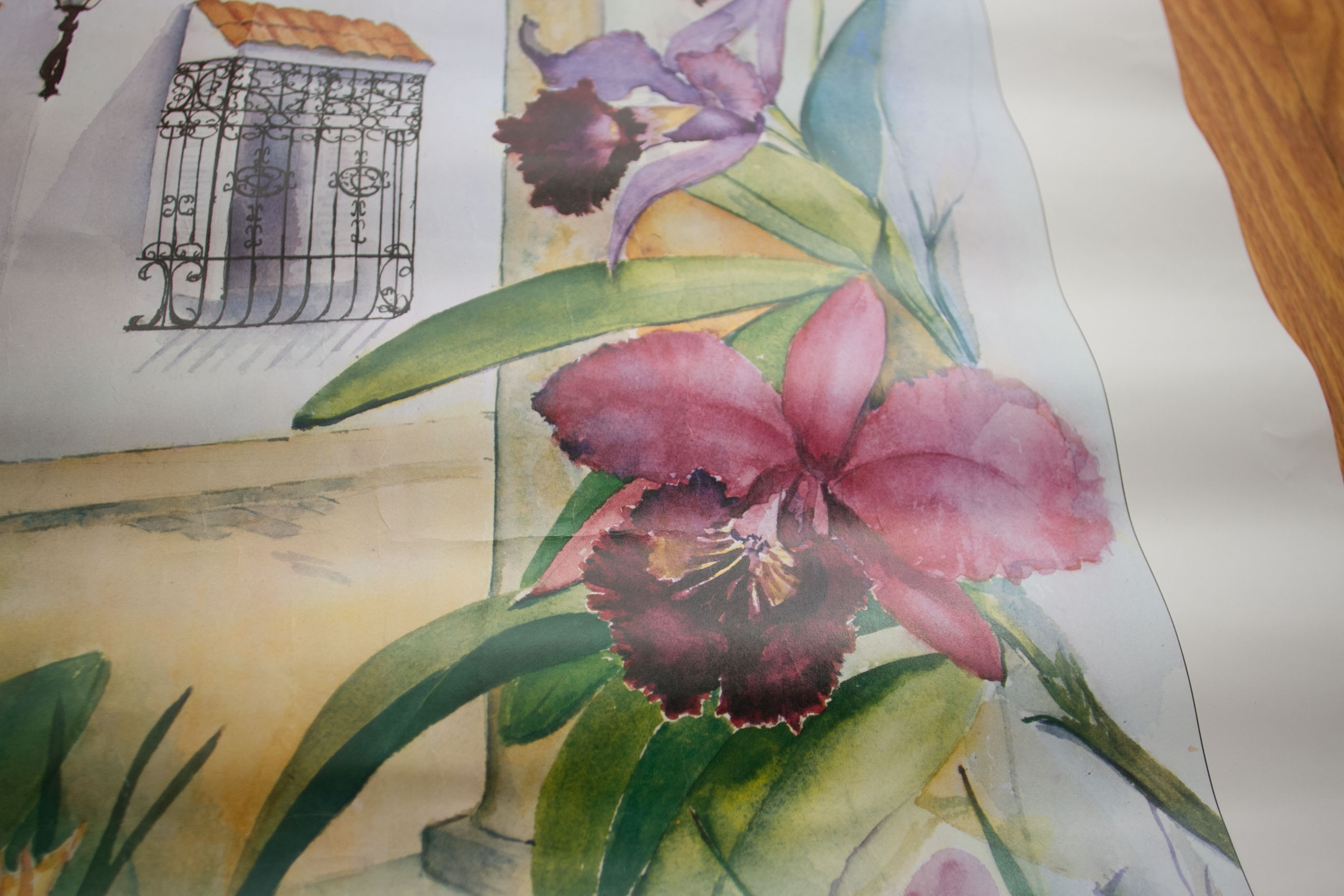 South Florida Orchid Society Poster