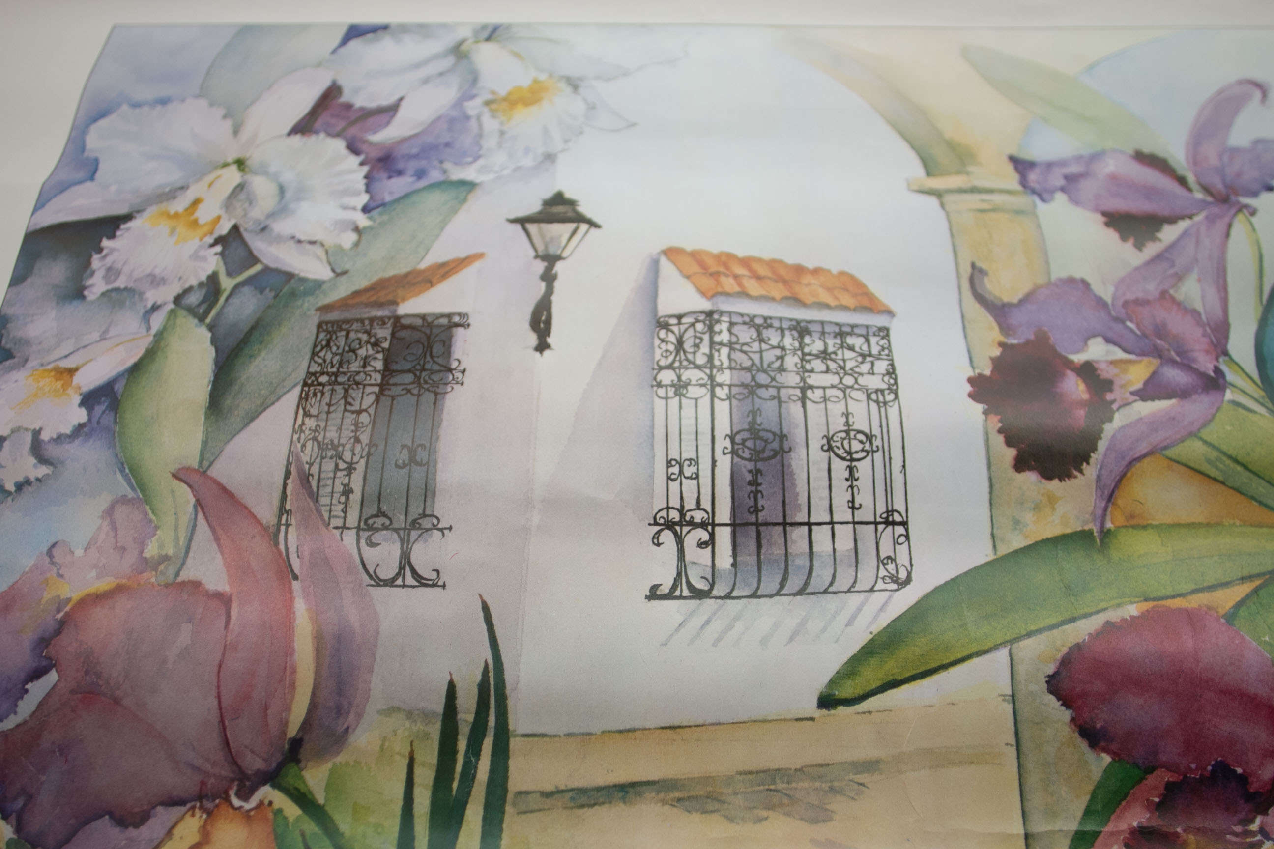 South Florida Orchid Society Poster