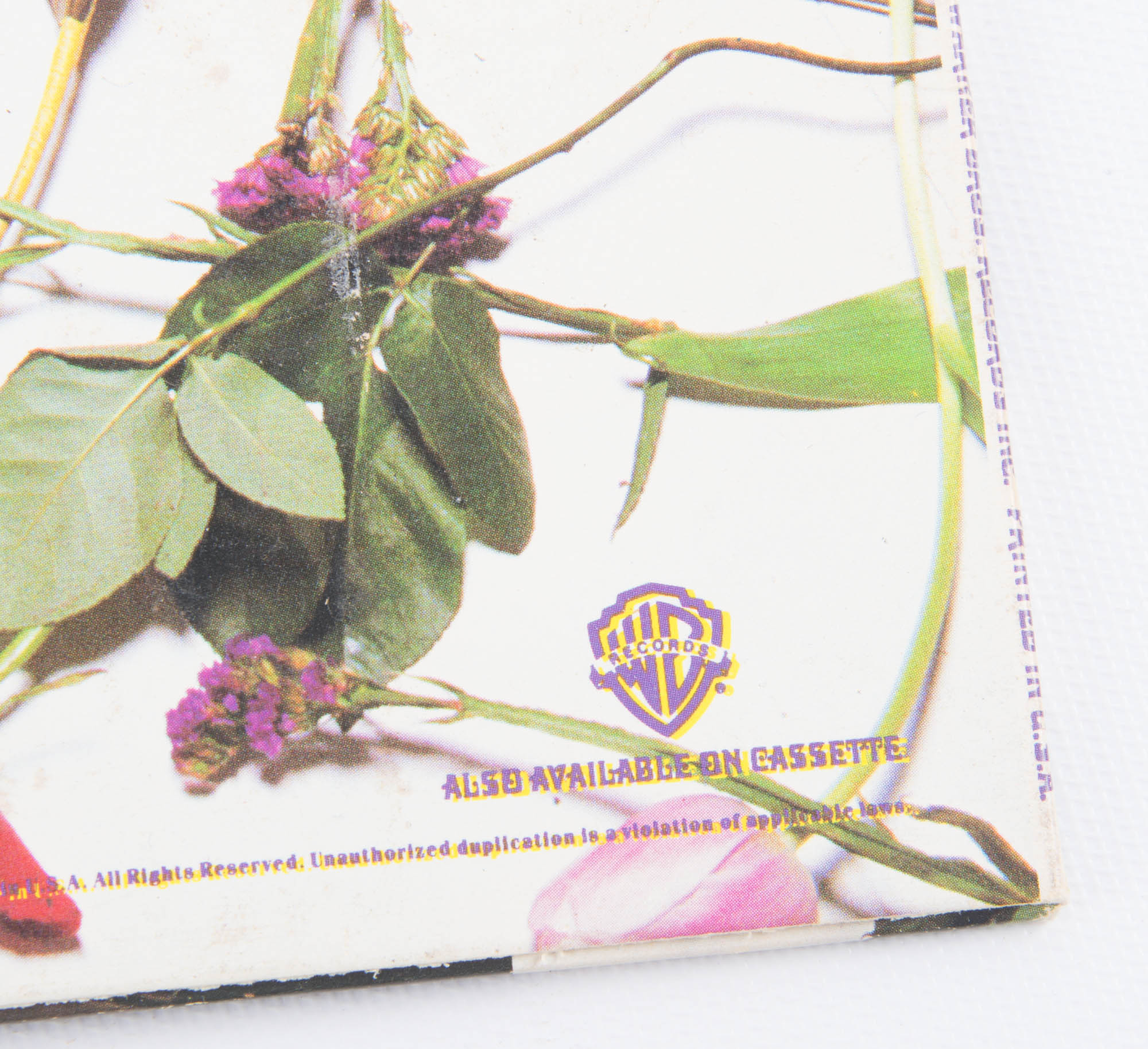 "Purple Rain" Vinyl LP by Prince and the Revolution First Pressing