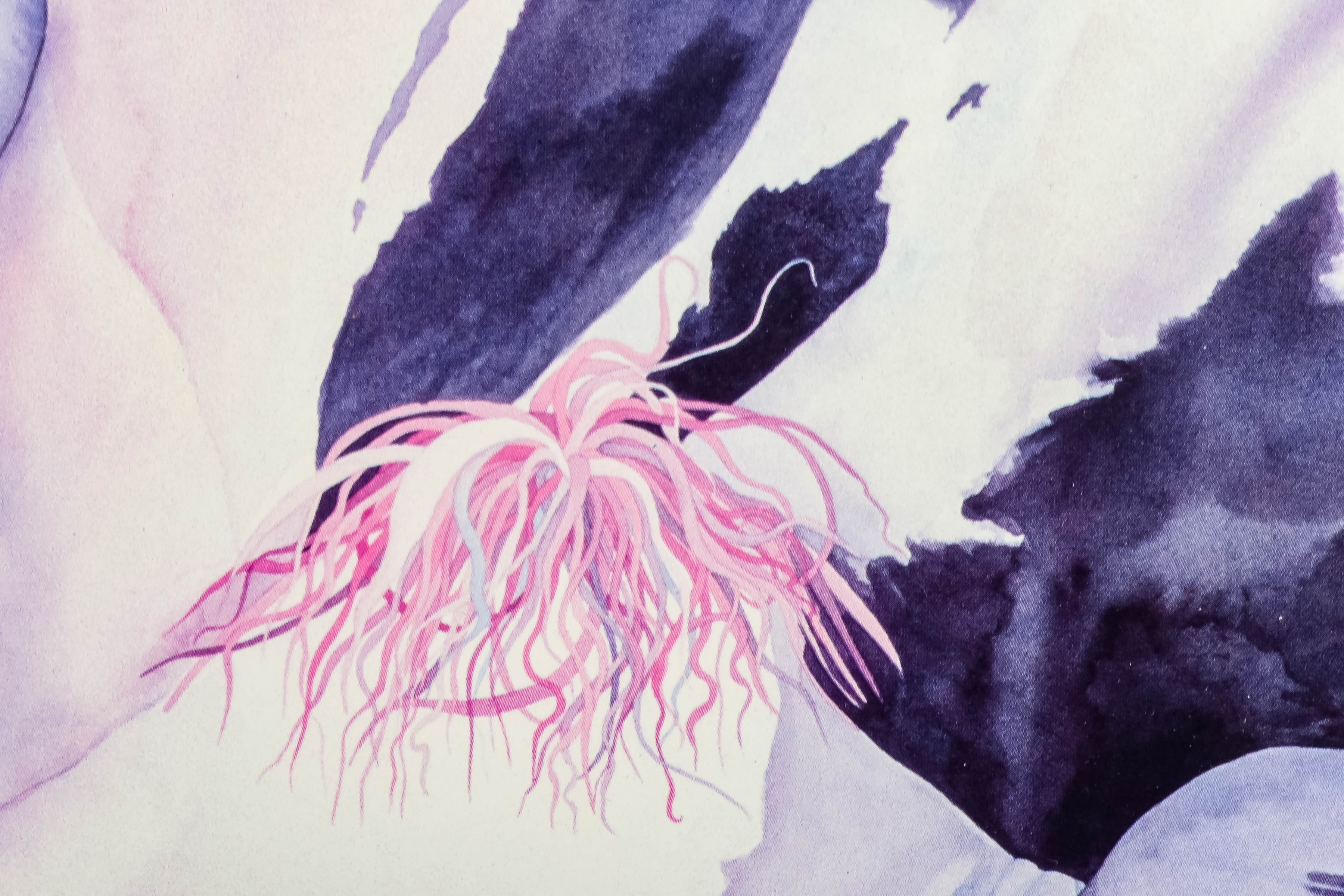 "Mazzoleni's Girls" Watercolor Giclée Print by Robin Eschner