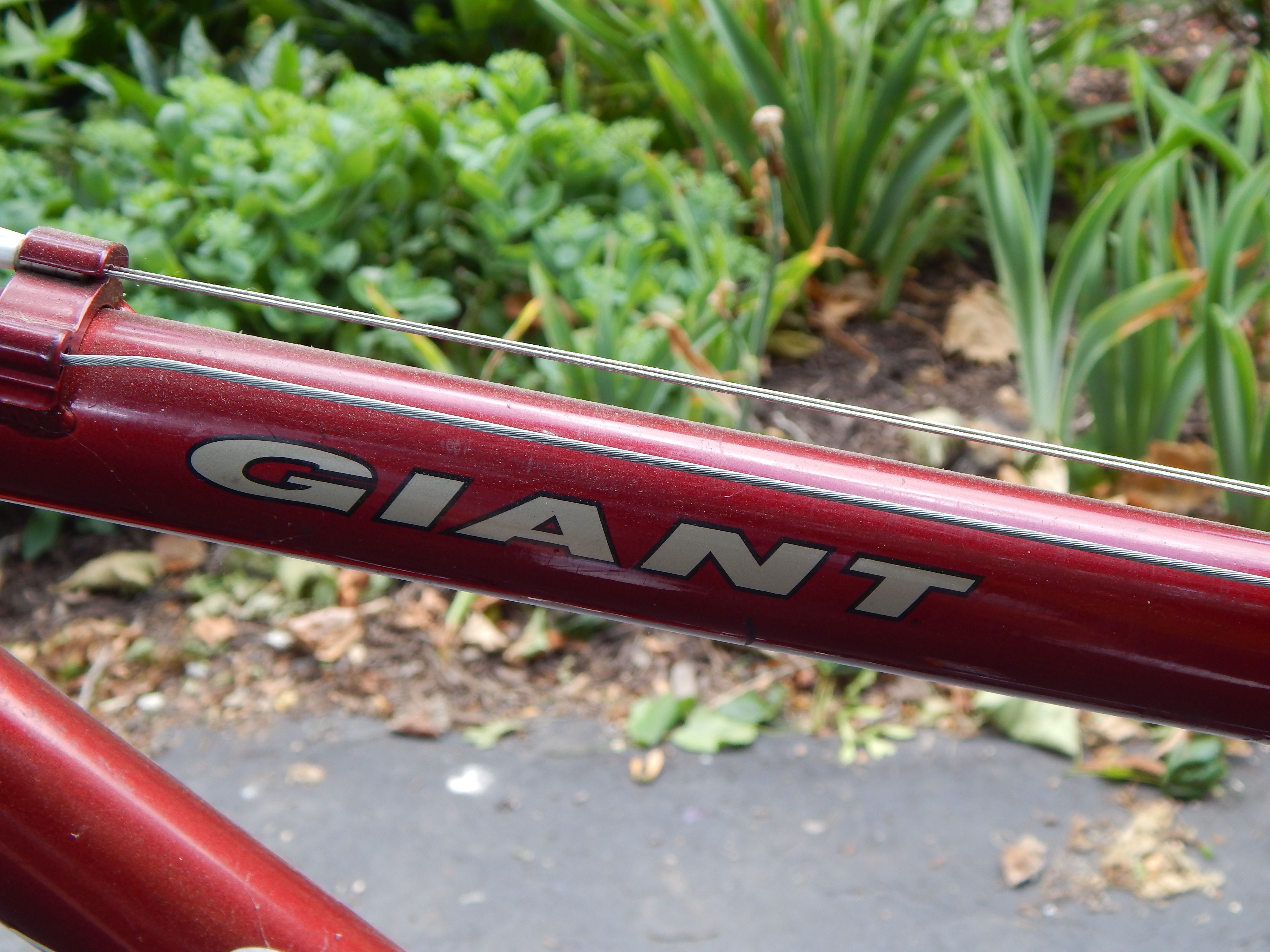 Eddie Bauer 'Giant' Bicycle