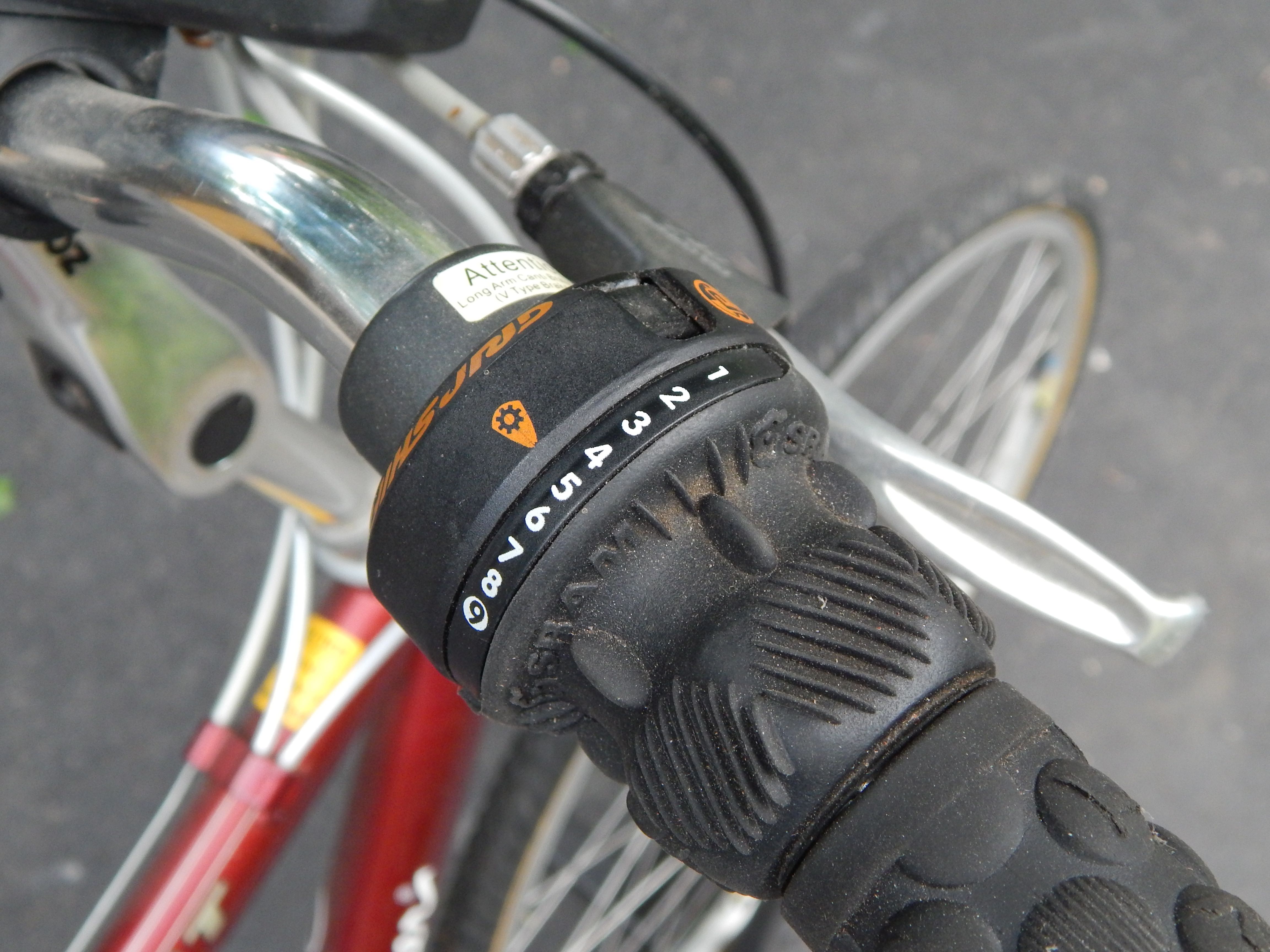 Eddie Bauer 'Giant' Bicycle