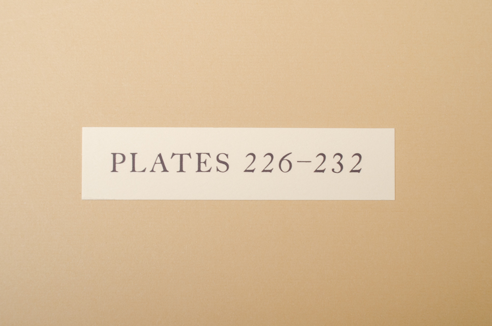 Banks' Florilegium Limited Edition "Part XI: Australia Plates 226-247" Engravings