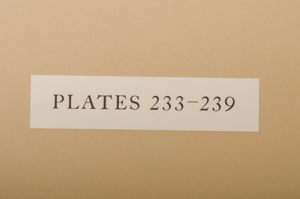 Banks' Florilegium Limited Edition "Part XI: Australia Plates 226-247" Engravings