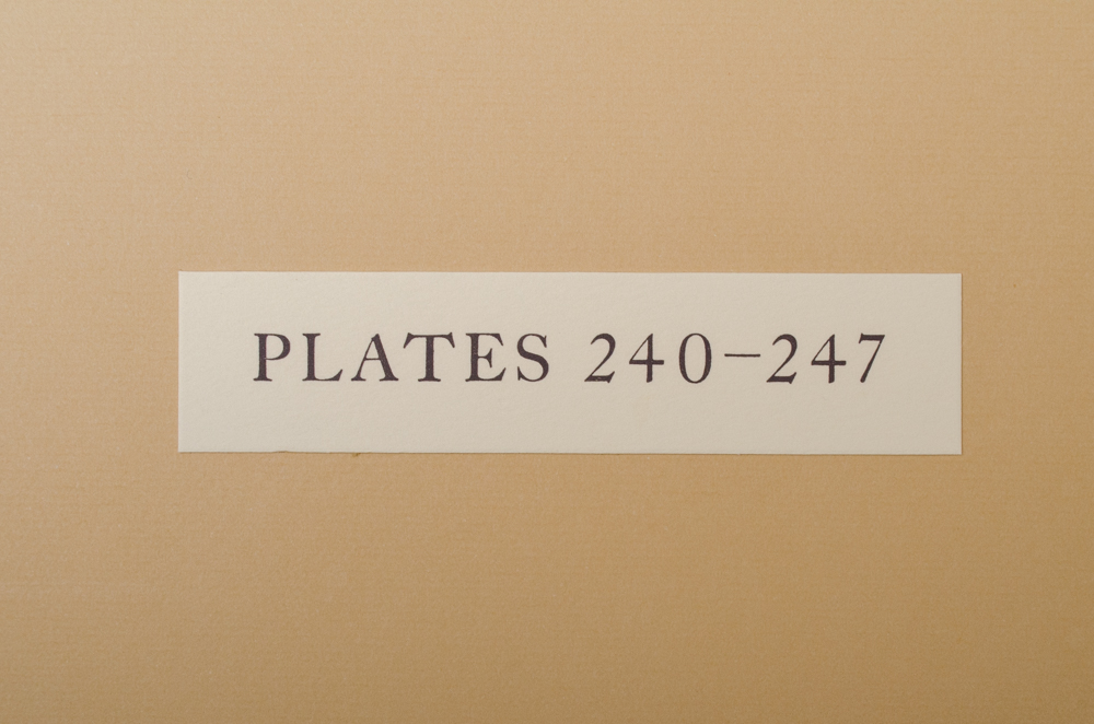 Banks' Florilegium Limited Edition "Part XI: Australia Plates 226-247" Engravings