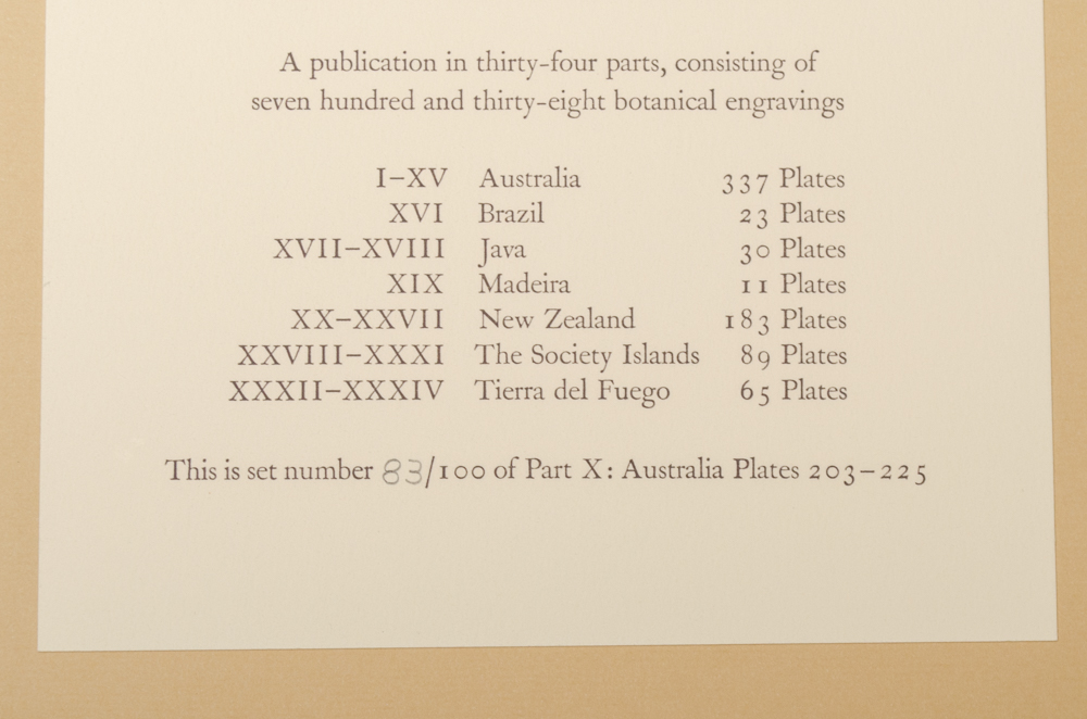 Banks' Florilegium Limited Edition "Part X: Australia Plates 203-225" Engravings