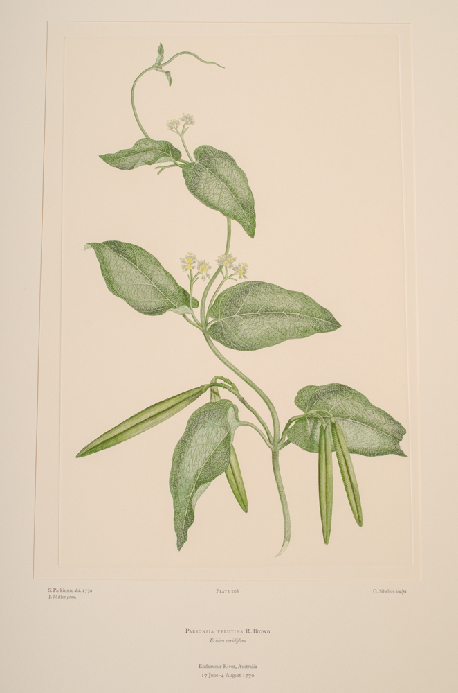 Banks' Florilegium Limited Edition "Part X: Australia Plates 203-225" Engravings