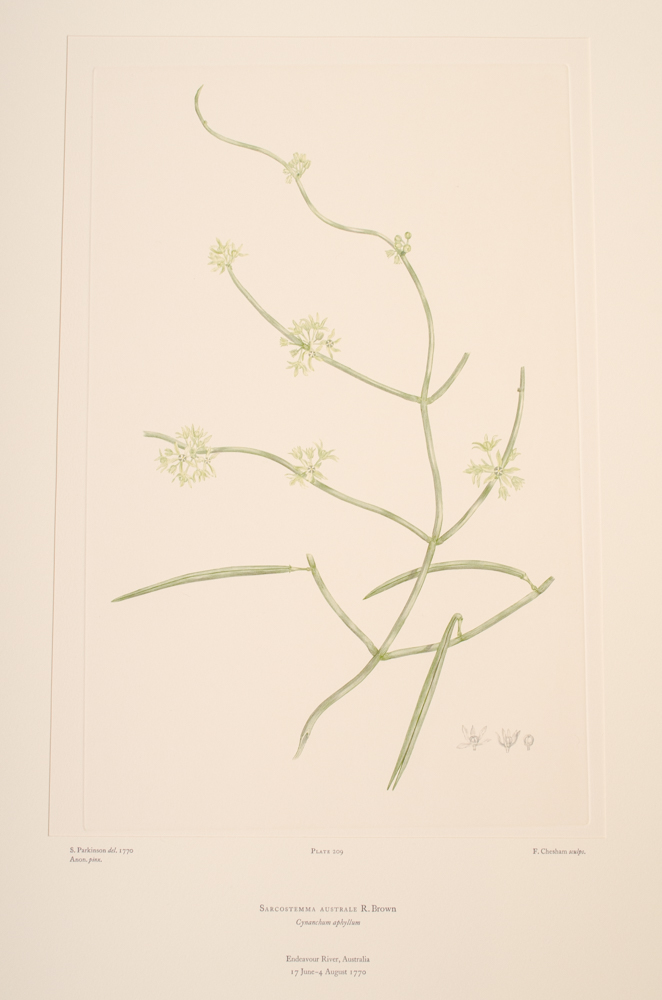 Banks' Florilegium Limited Edition "Part X: Australia Plates 203-225" Engravings