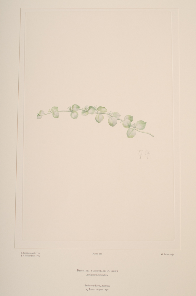 Banks' Florilegium Limited Edition "Part X: Australia Plates 203-225" Engravings