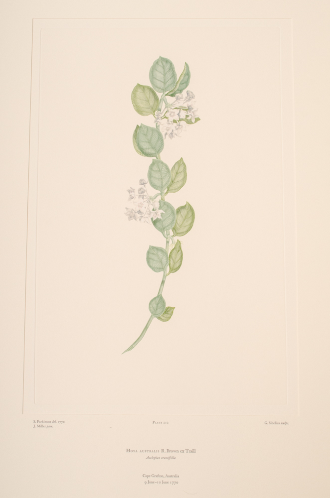 Banks' Florilegium Limited Edition "Part X: Australia Plates 203-225" Engravings