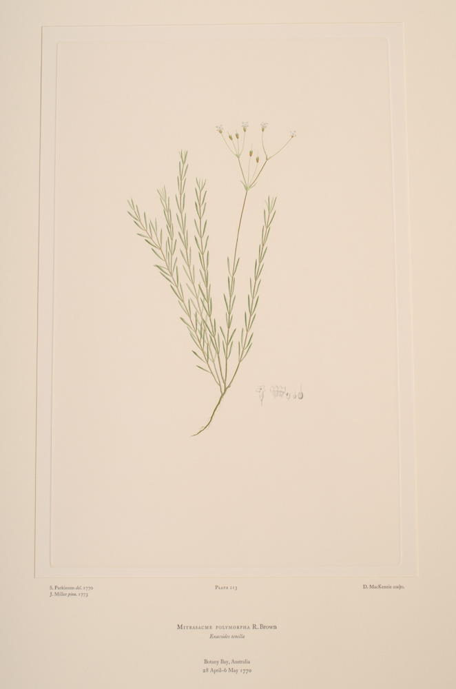 Banks' Florilegium Limited Edition "Part X: Australia Plates 203-225" Engravings