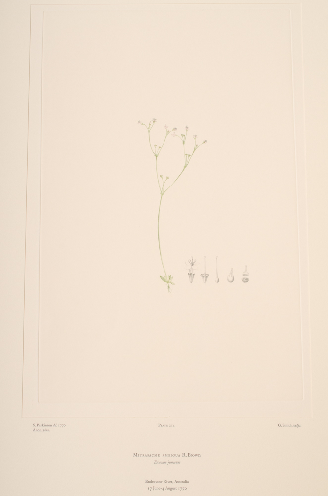 Banks' Florilegium Limited Edition "Part X: Australia Plates 203-225" Engravings