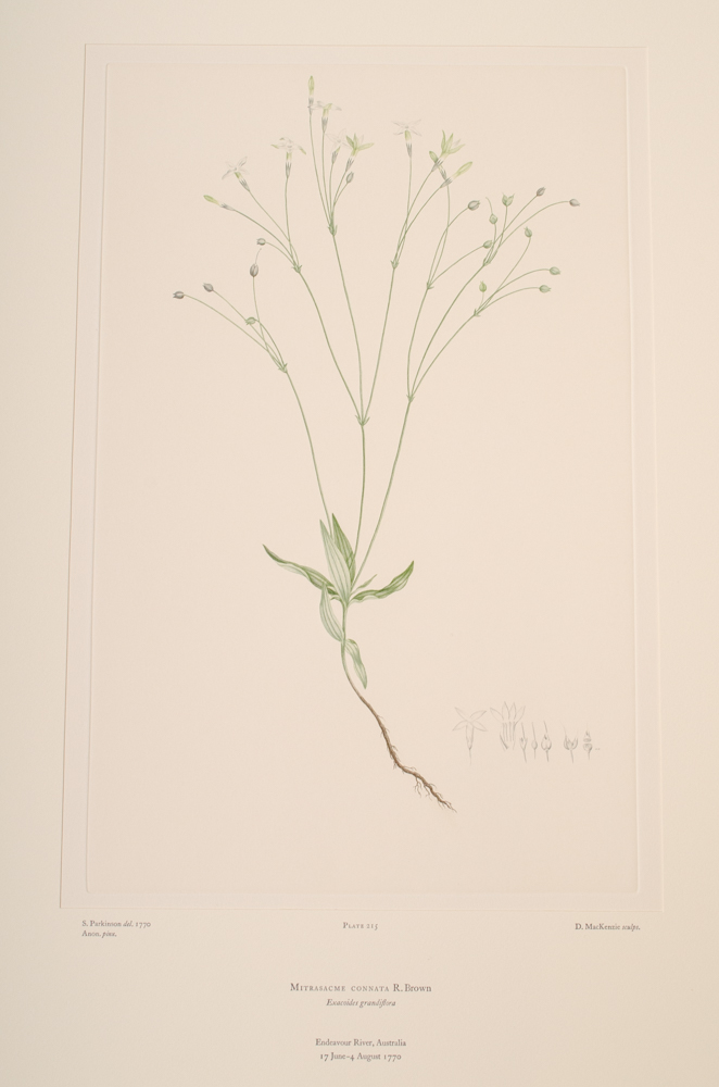 Banks' Florilegium Limited Edition "Part X: Australia Plates 203-225" Engravings