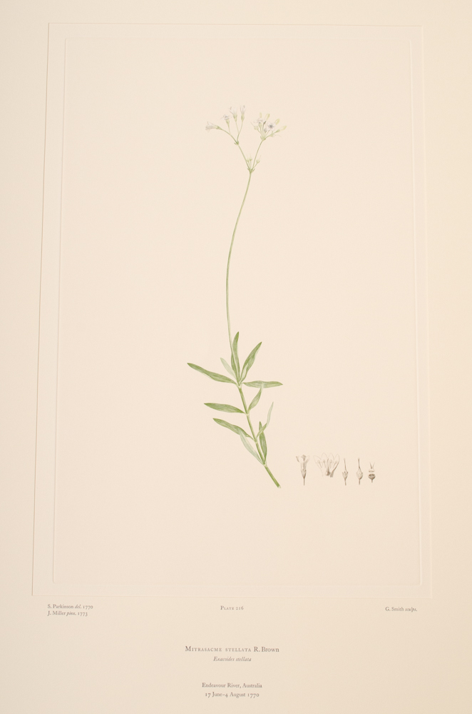 Banks' Florilegium Limited Edition "Part X: Australia Plates 203-225" Engravings